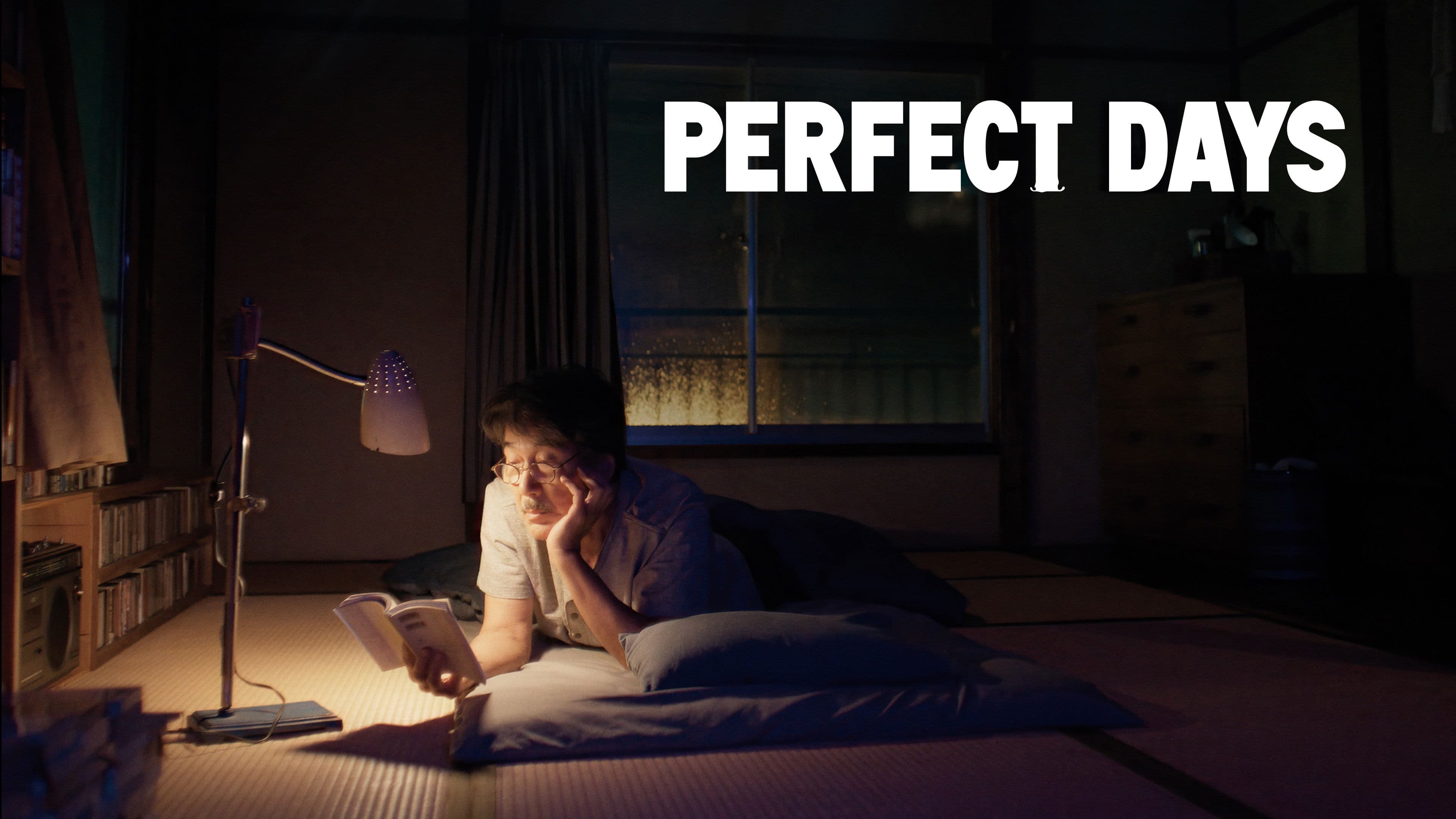 Perfect Days - immagine