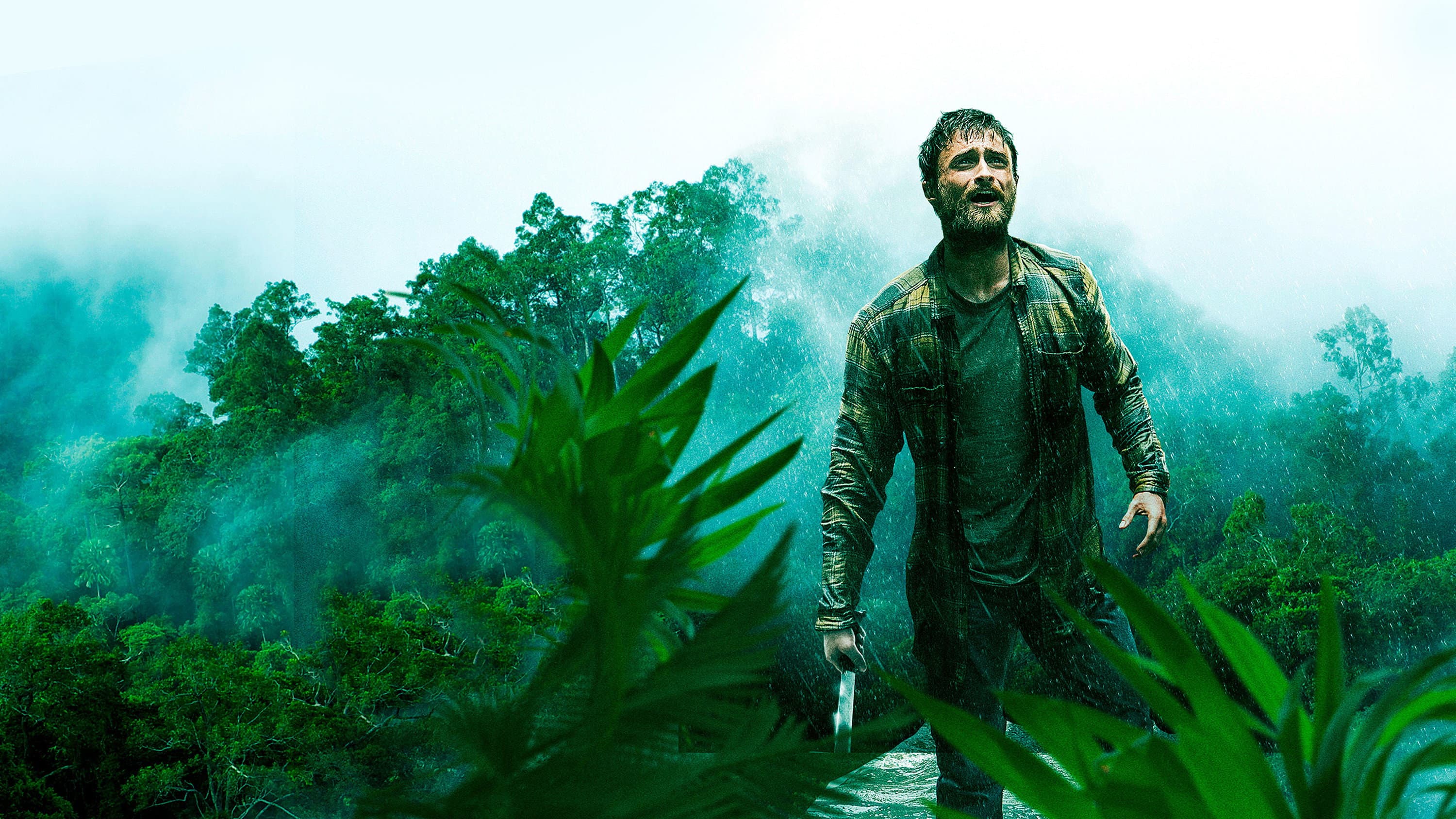 Jungle - immagine