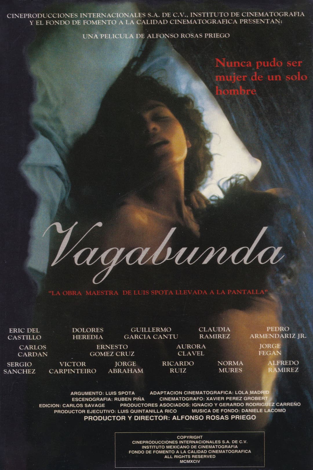 Poster di Vagabunda