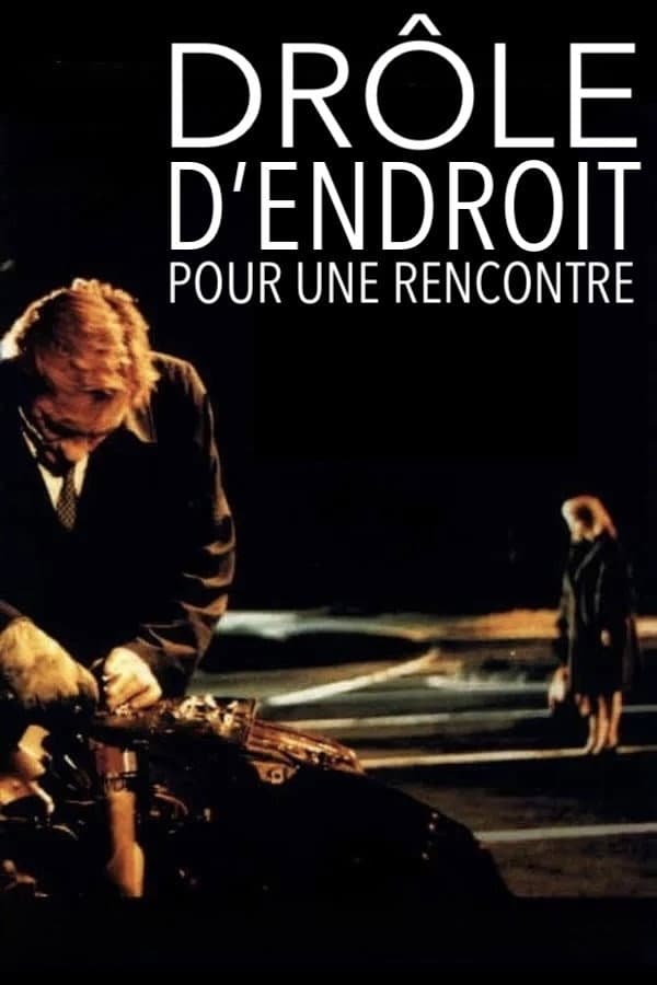 Poster di Drôle d'endroit pour une rencontre