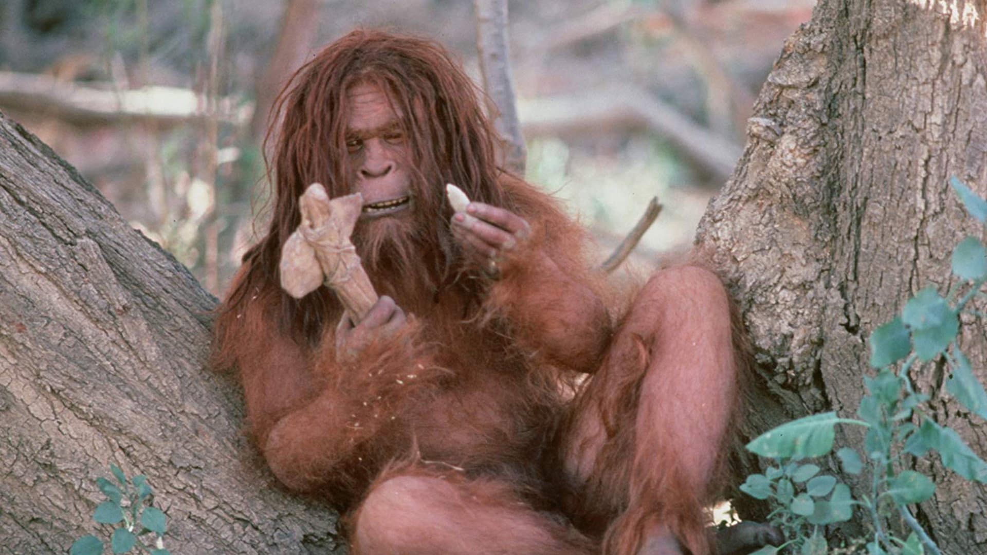 Missing Link - immagine
