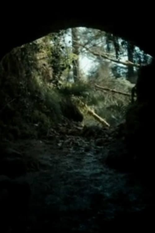 Poster di The Beast