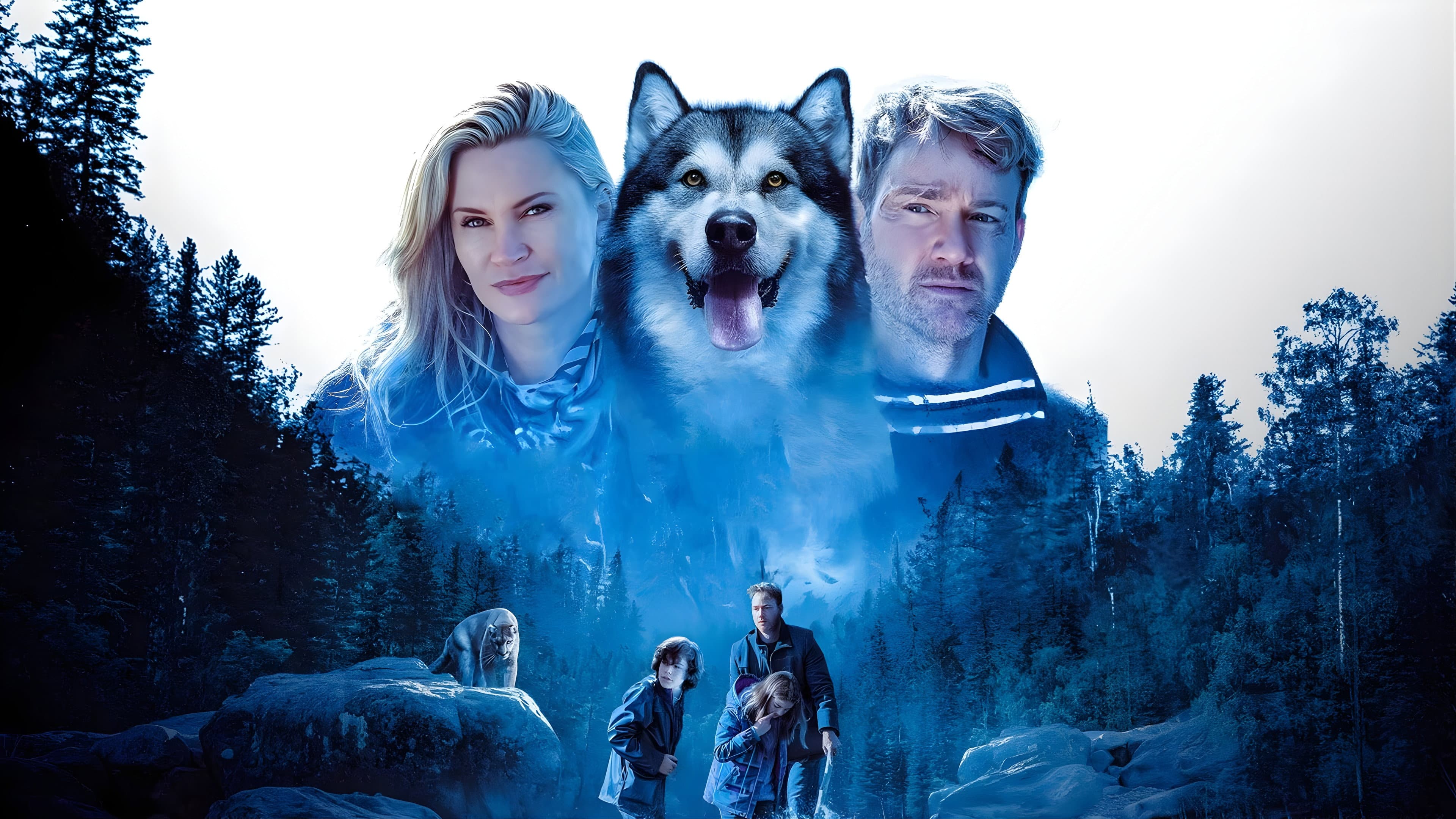 Hero Dog: The Journey Home - immagine