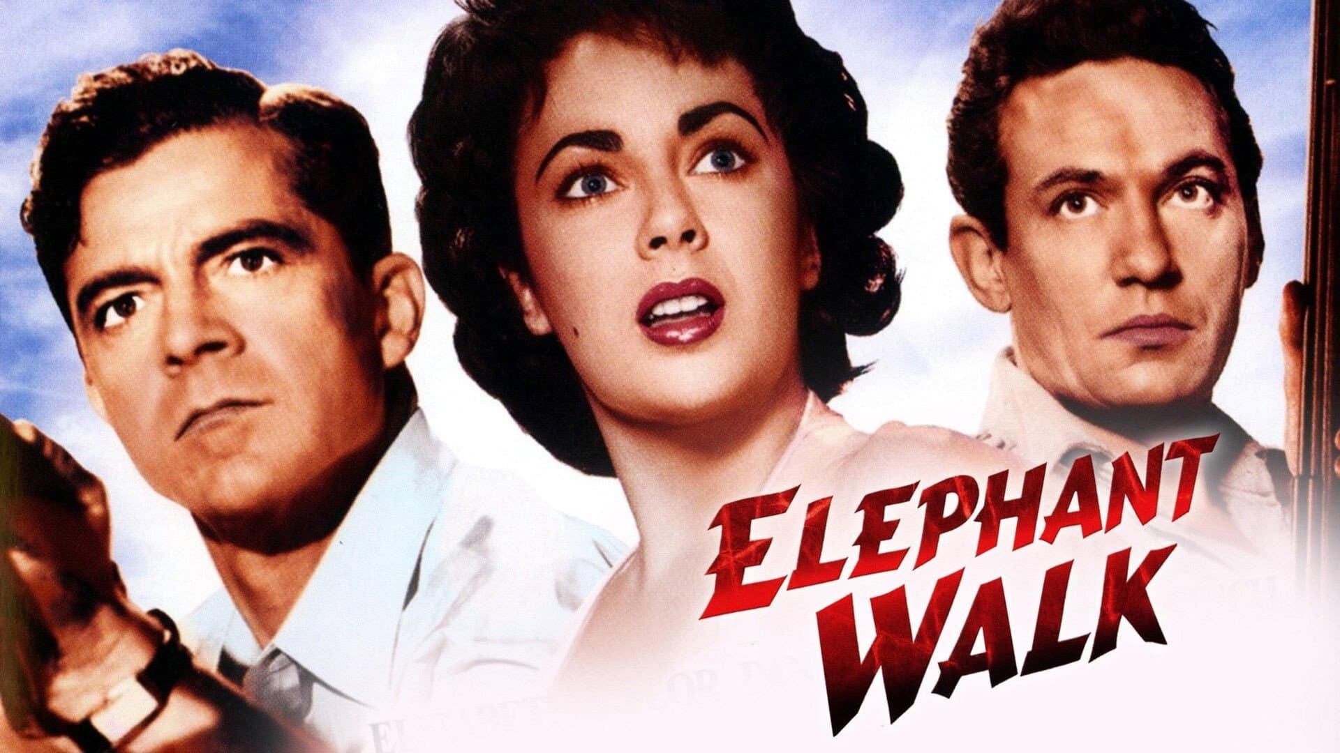 La pista degli elefanti - immagine