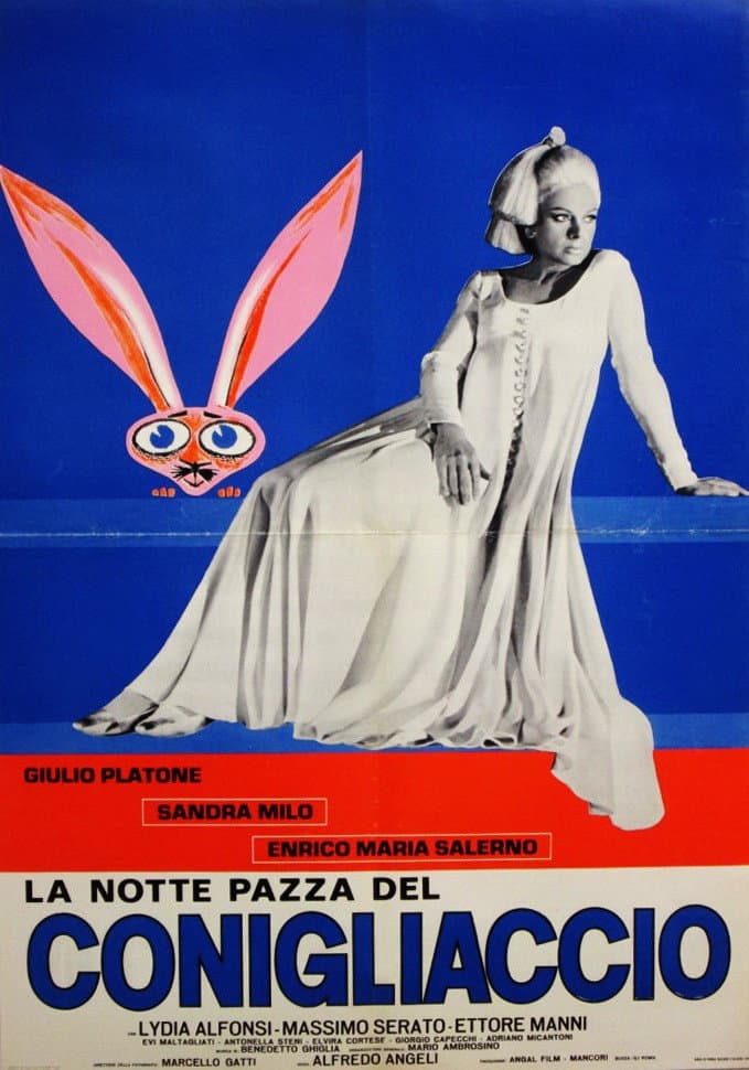 Poster di La notte pazza del conigliaccio