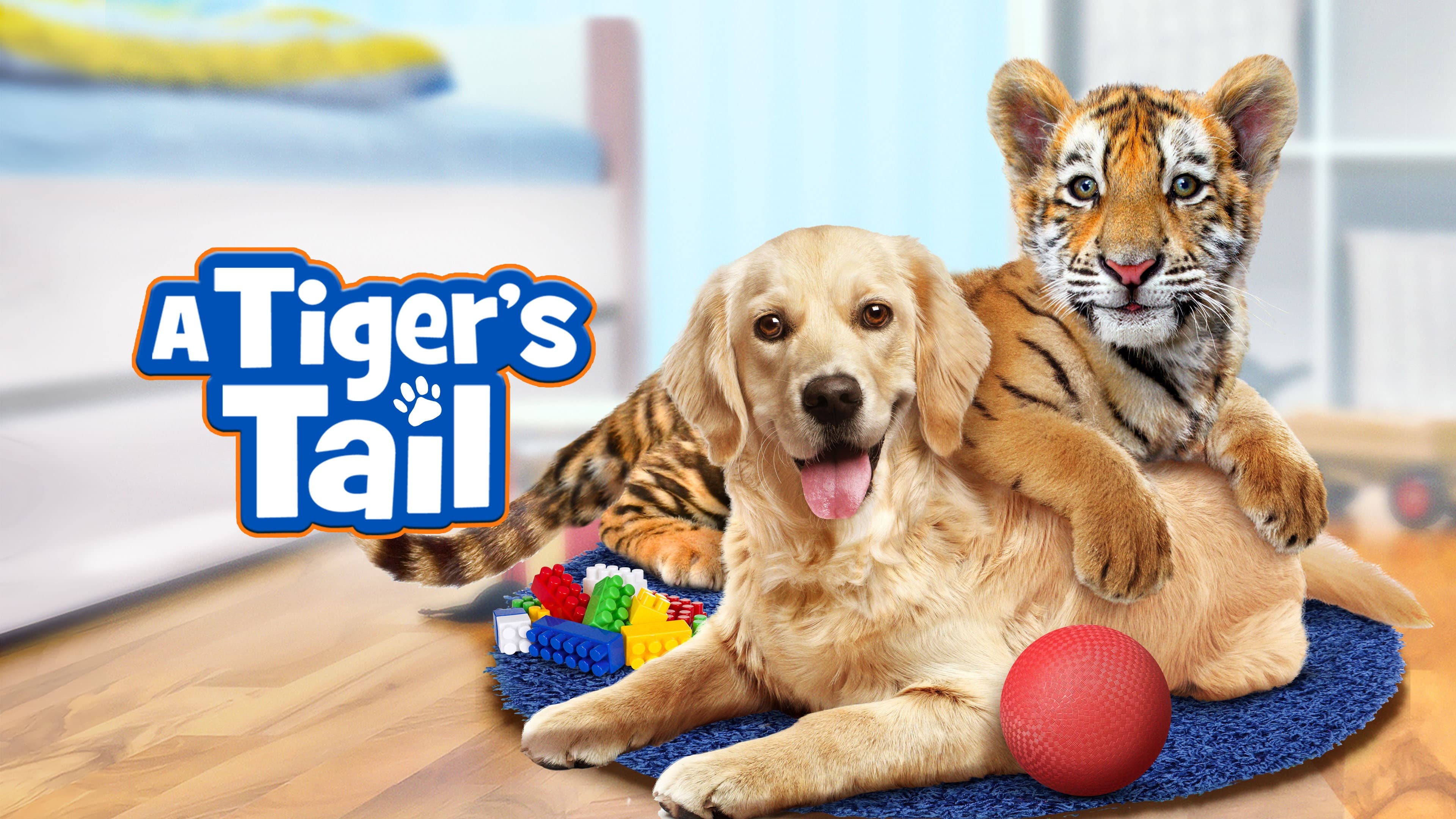 A Tiger's Tail - immagine