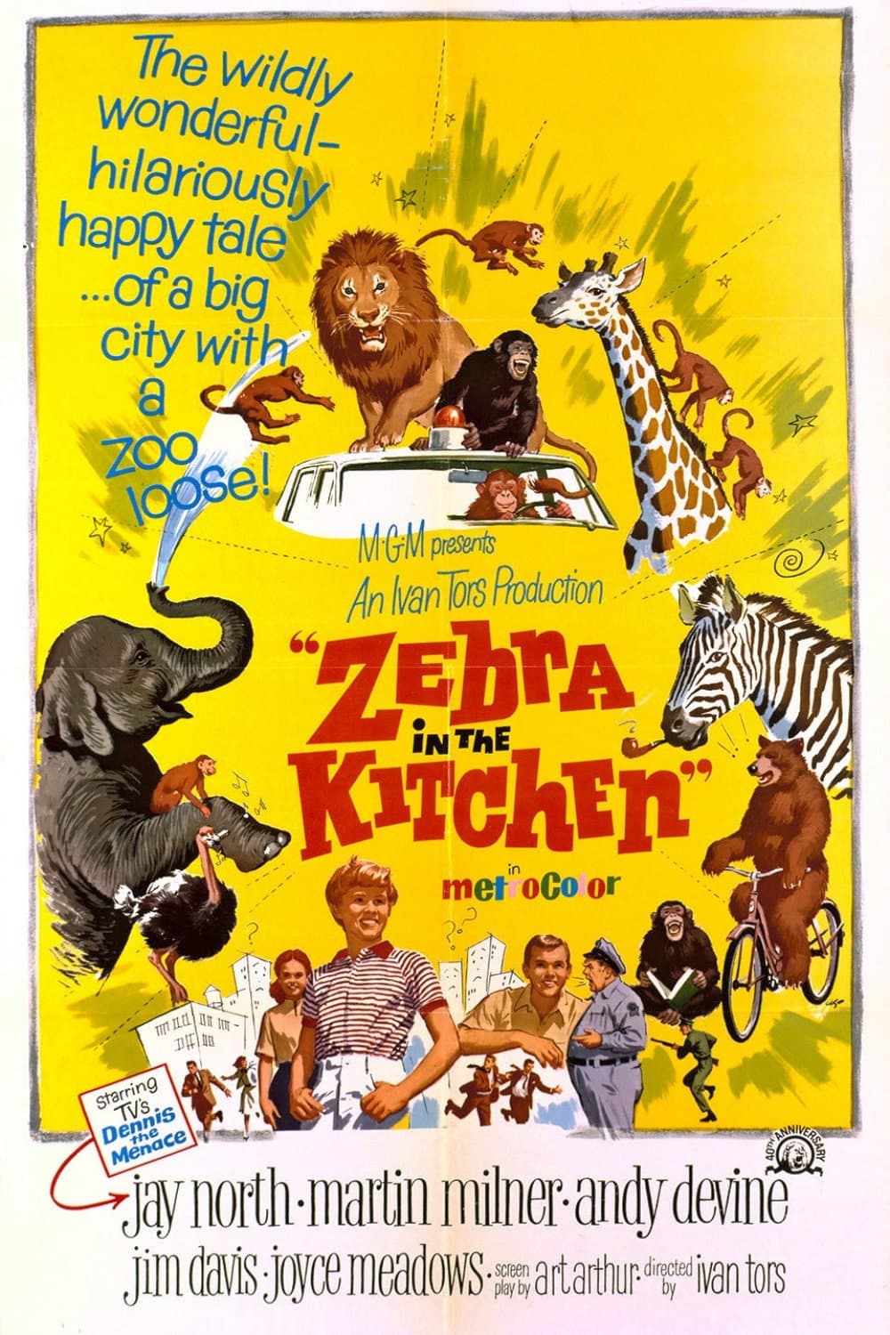 Poster di Zebra in the Kitchen