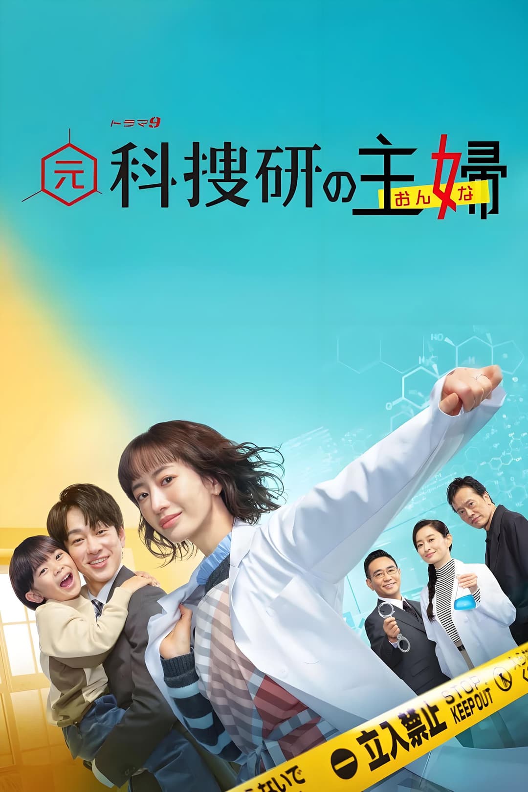 Poster di 元科捜研の主婦