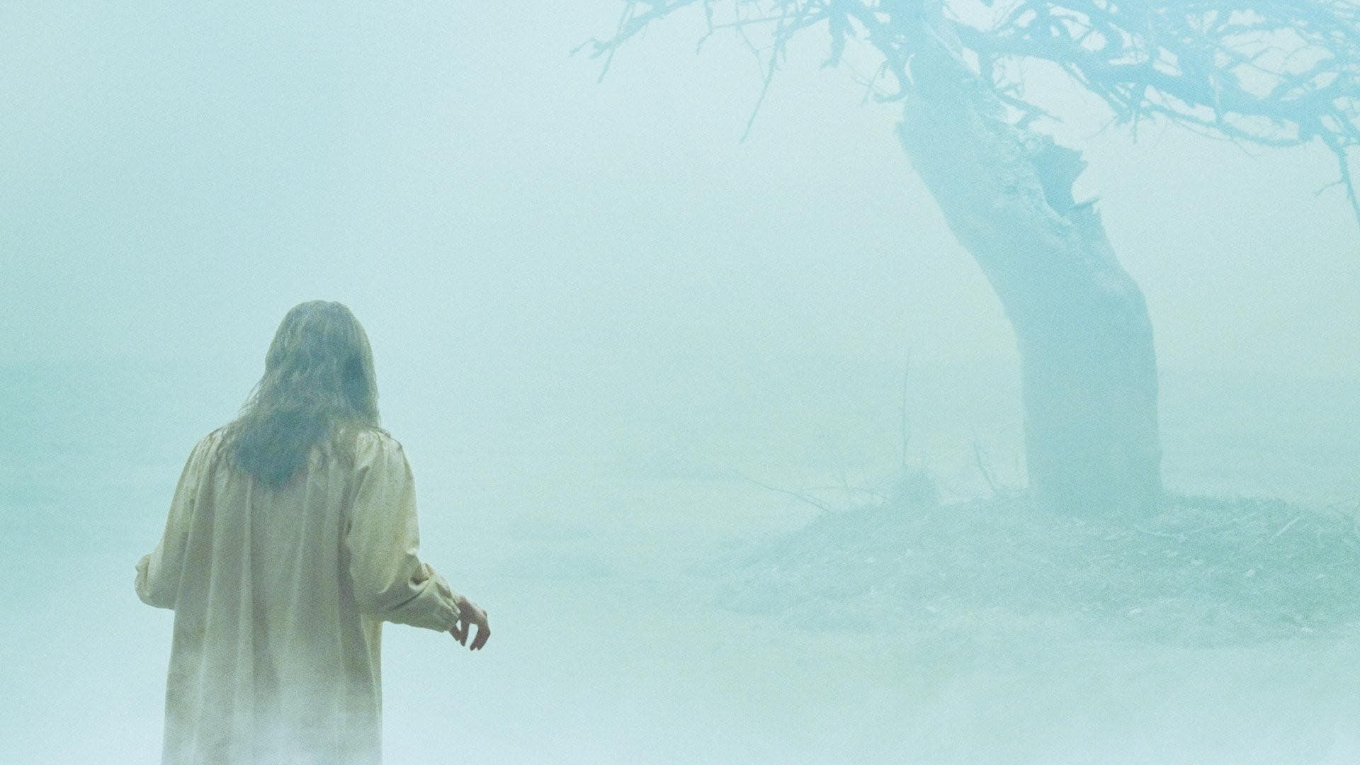 The Exorcism of Emily Rose - immagine