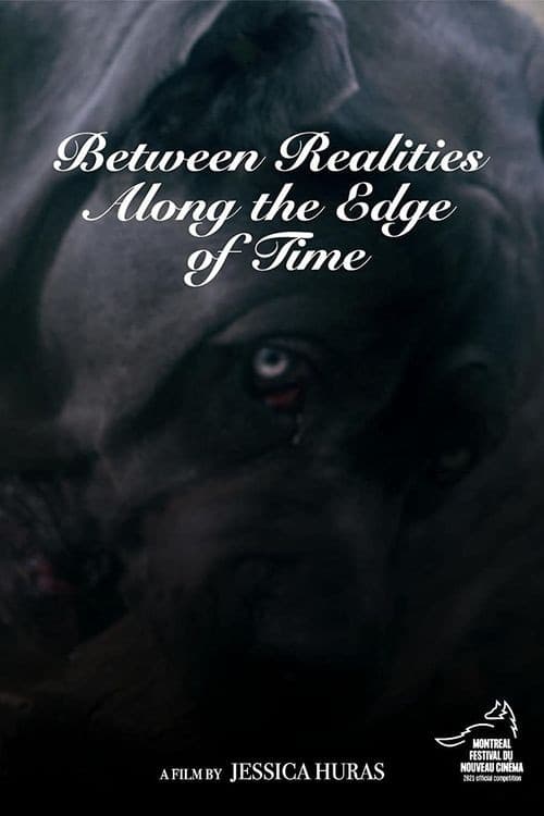 Poster di Between Realities Along the Edge of Time