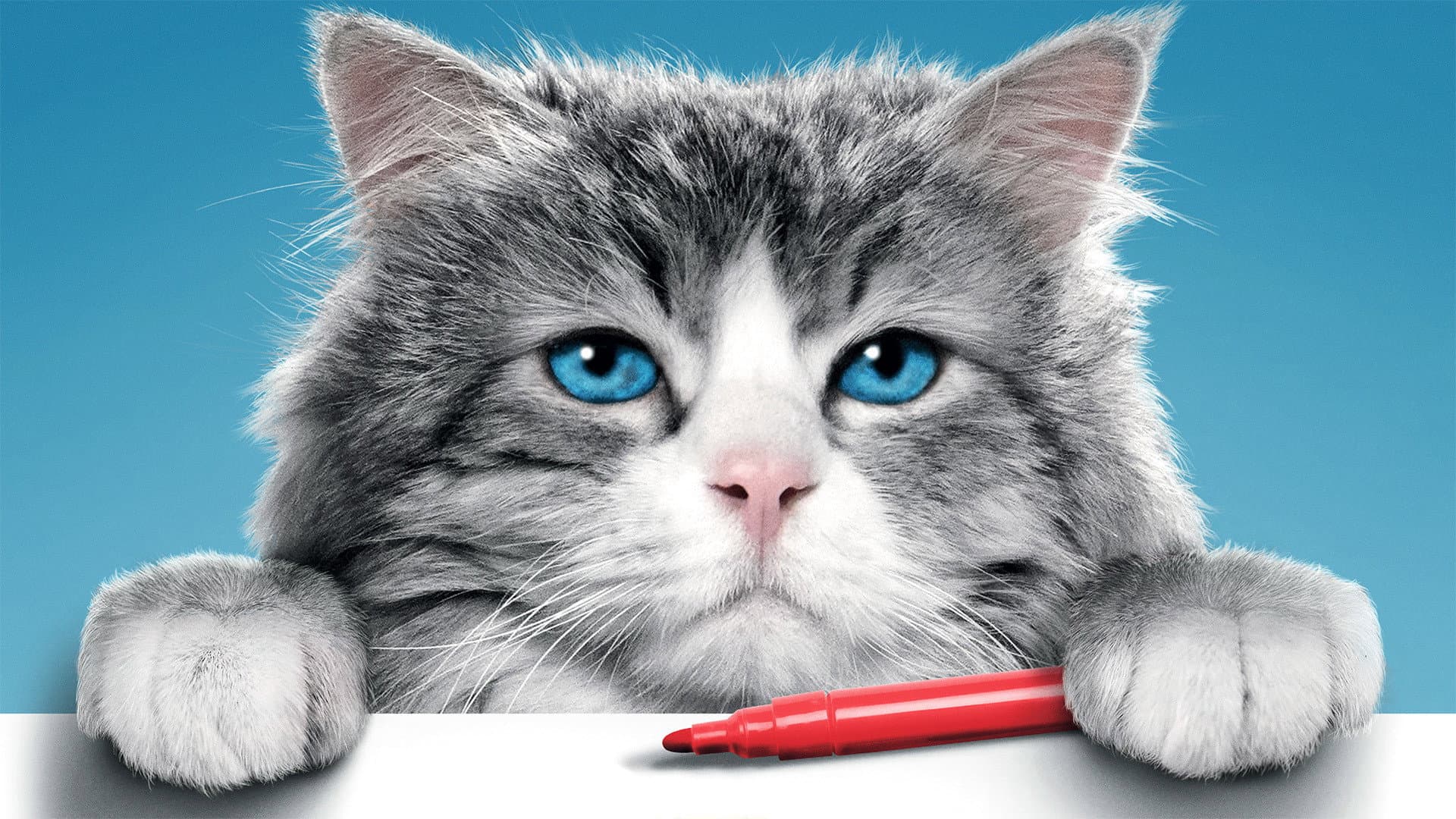 Una vita da gatto - immagine