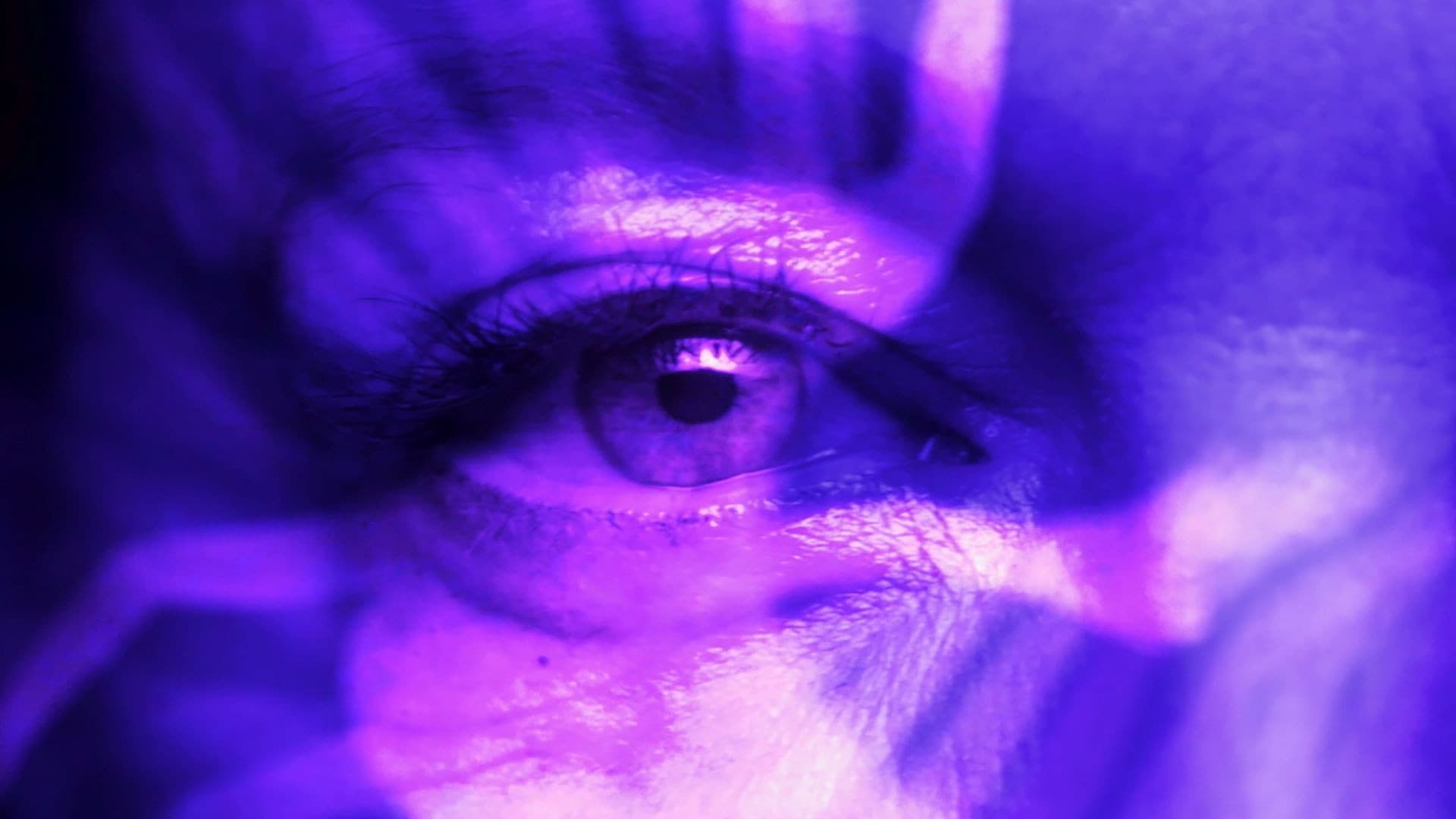 Sesso, Cinema e potere - Brainwashed - immagine