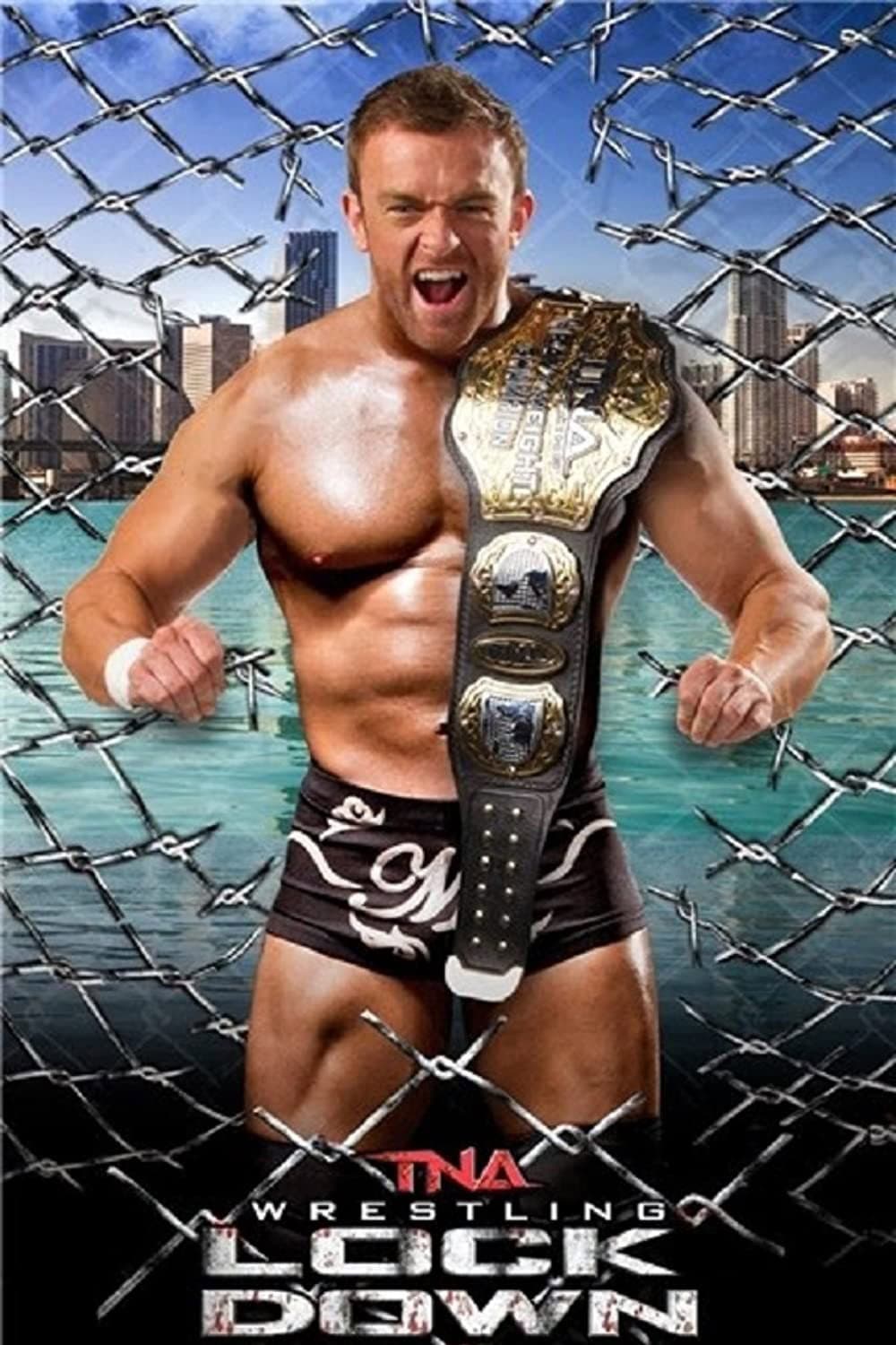Poster di TNA Lockdown 2014