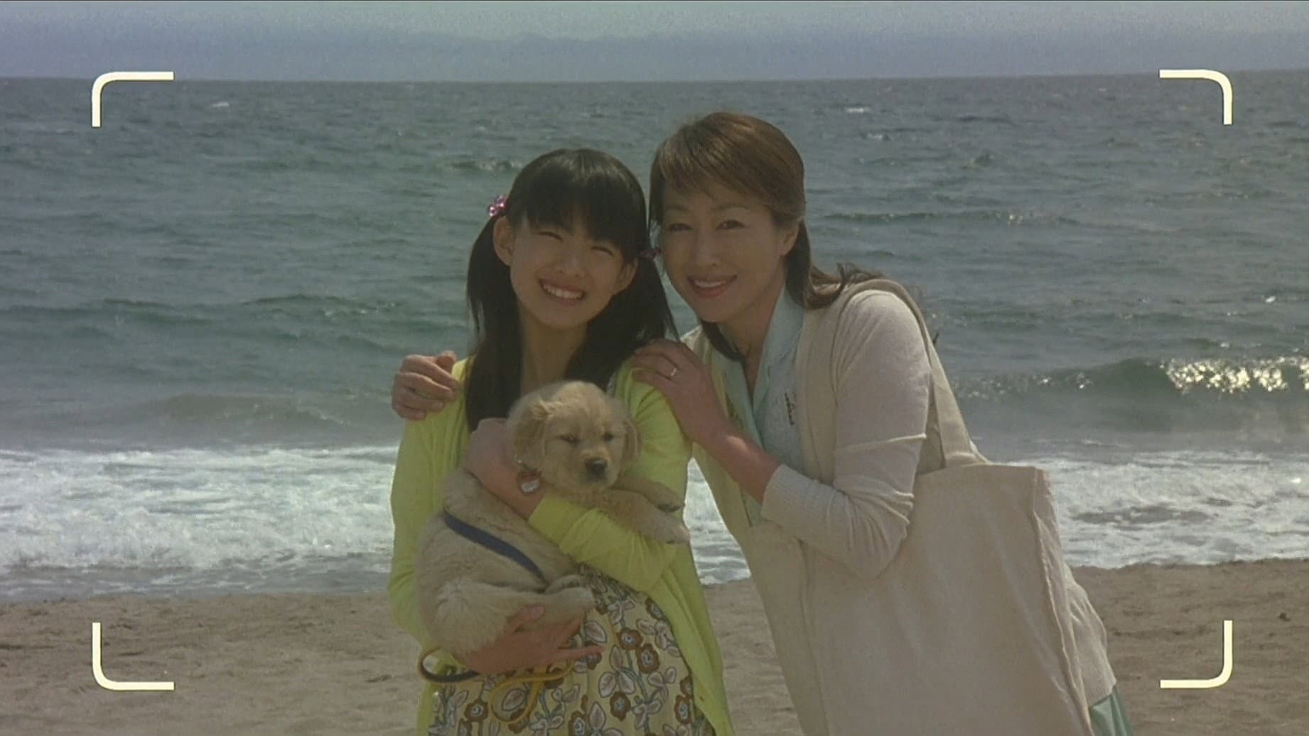 10 Promises to My Dog - immagine