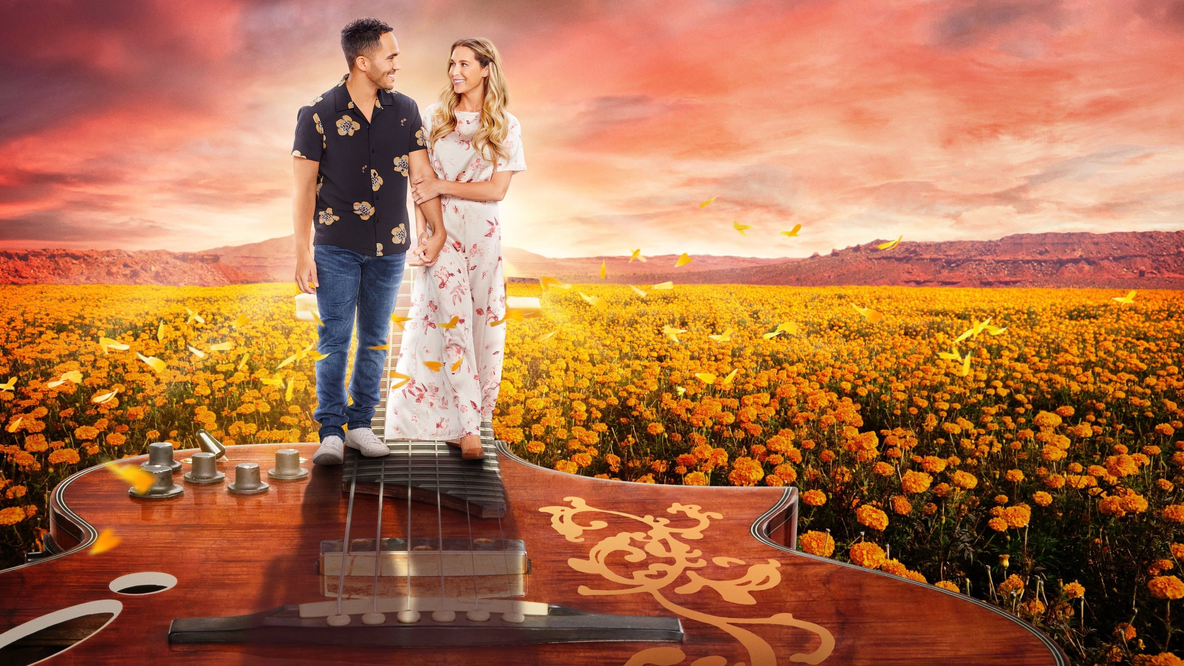 Love in the Limelight - immagine