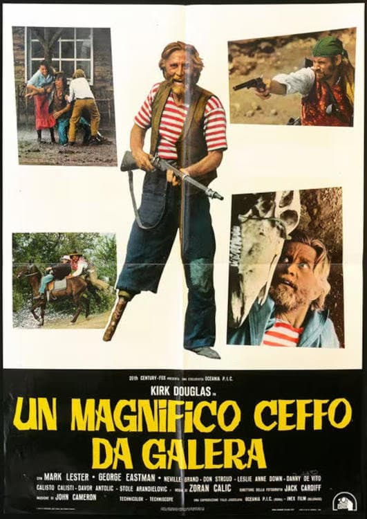 Poster di Un magnifico ceffo da galera