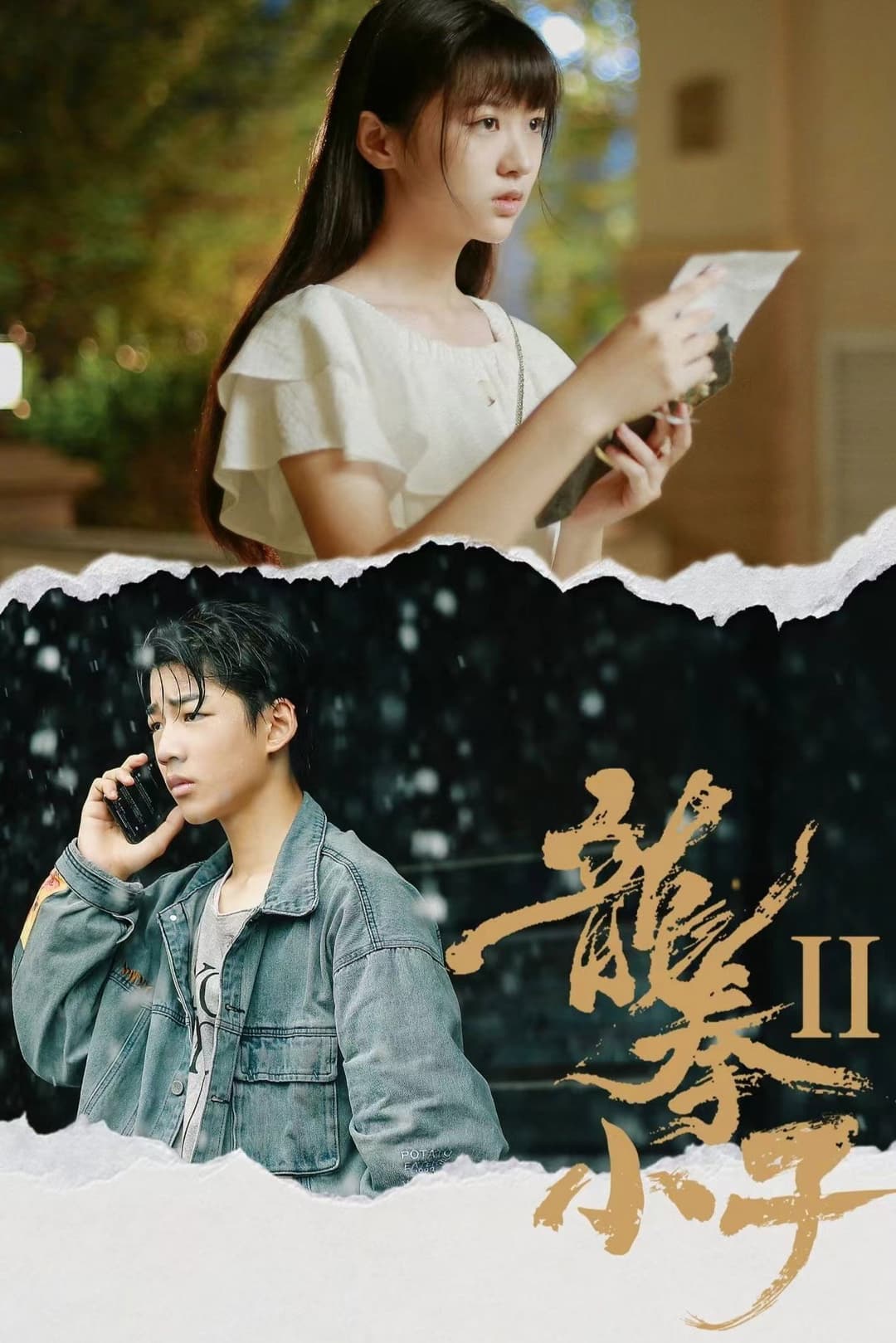 Poster di 龙拳小子2