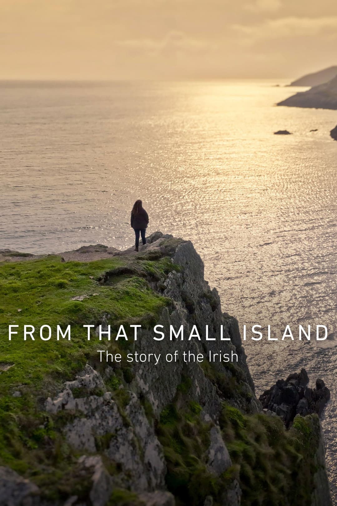 Poster di From that Small Island