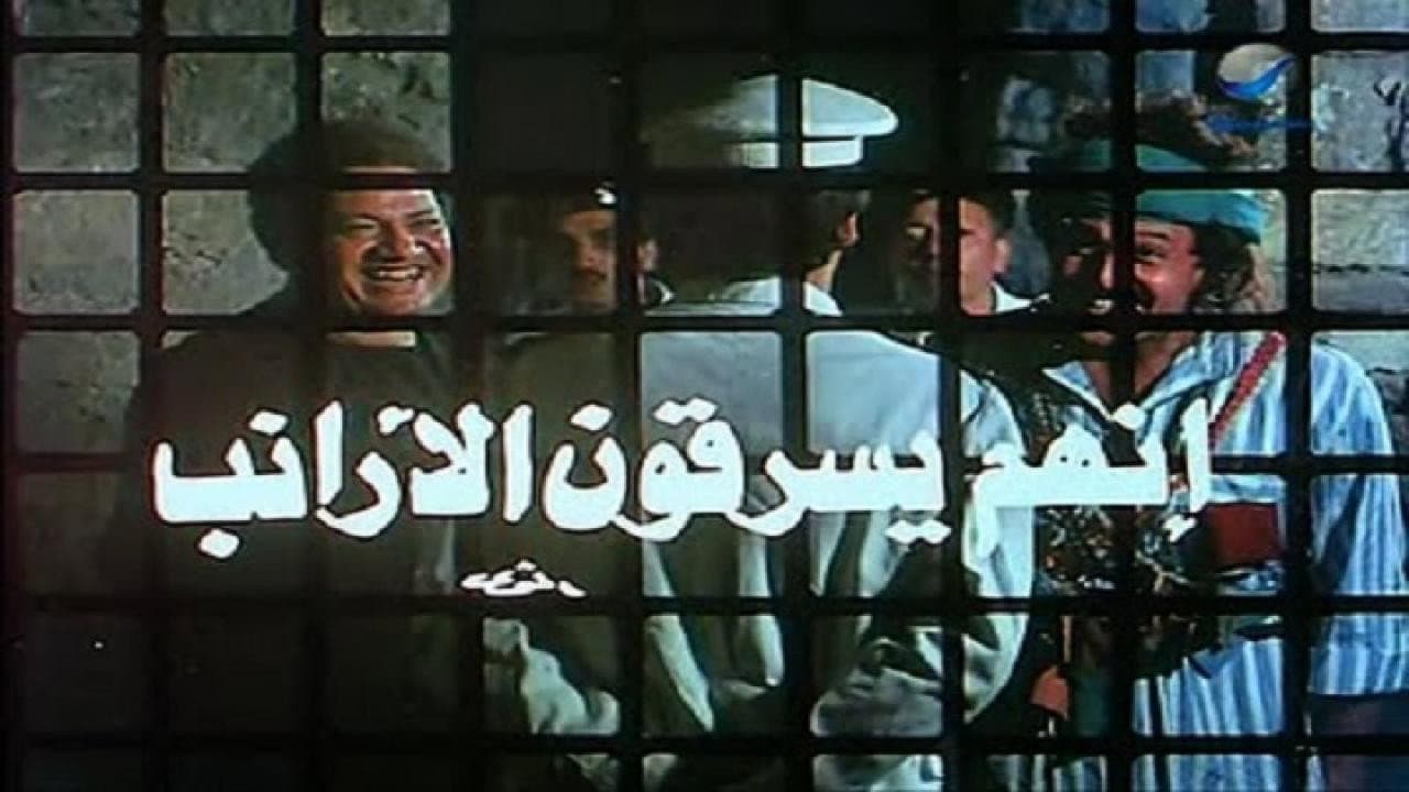إنهم يسرقون الأرانب - immagine