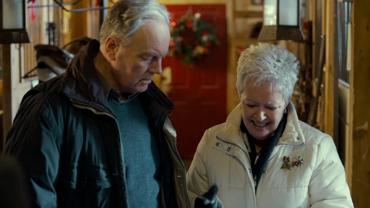 Un Natale da salvare - immagine