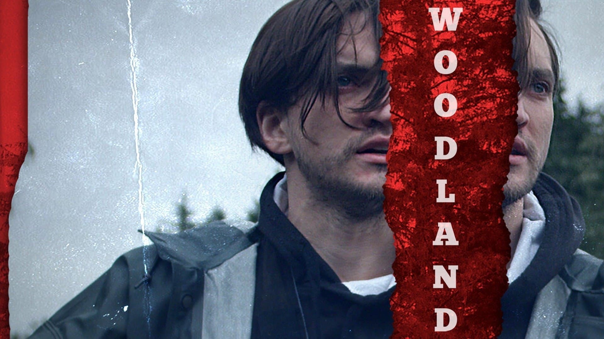 Woodland - immagine