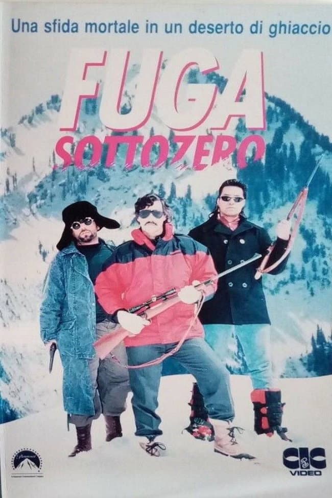 Poster di Fuga sottozero