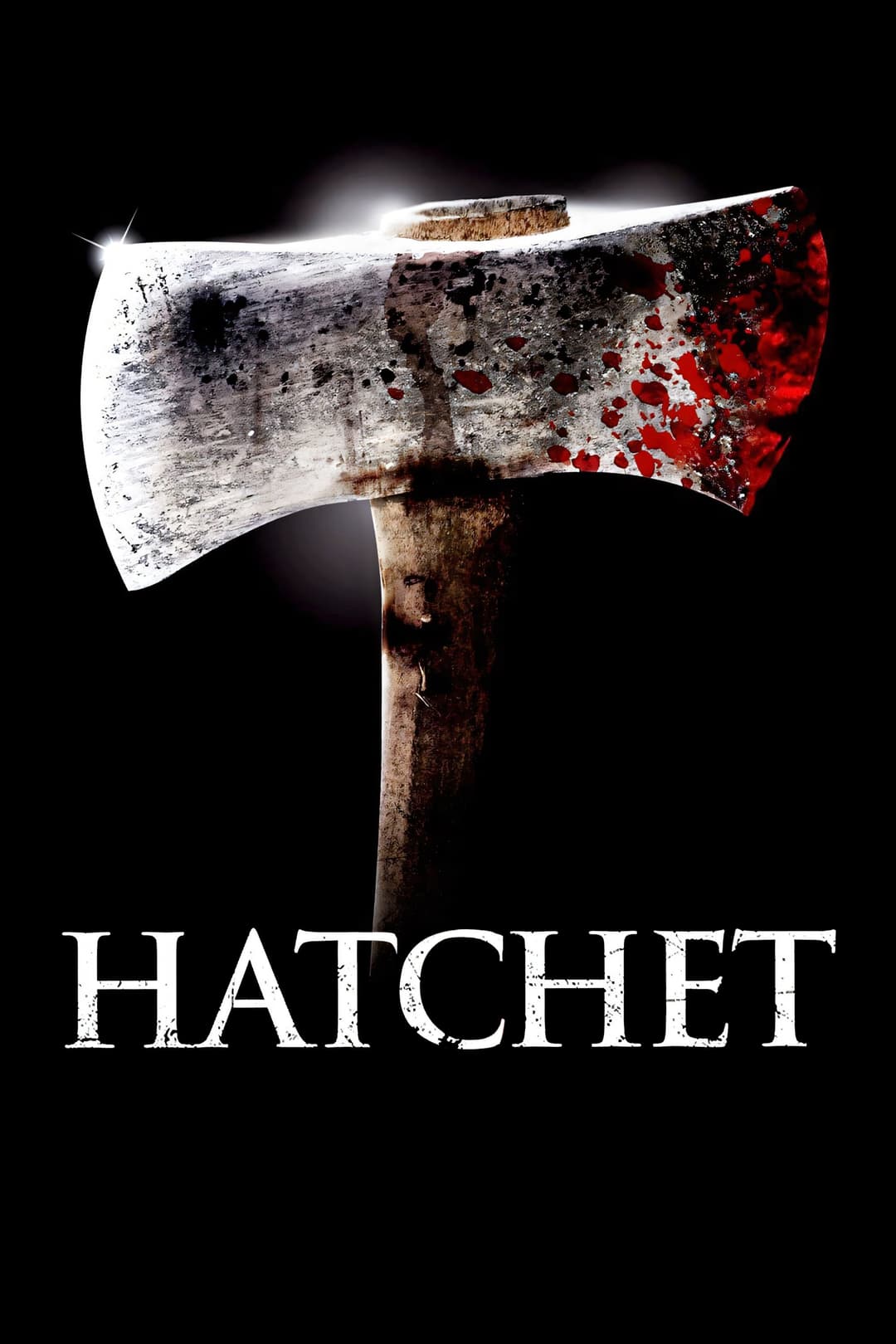 Poster di Hatchet
