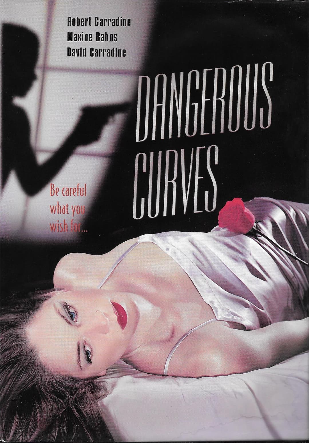 Poster di Dangerous Curves