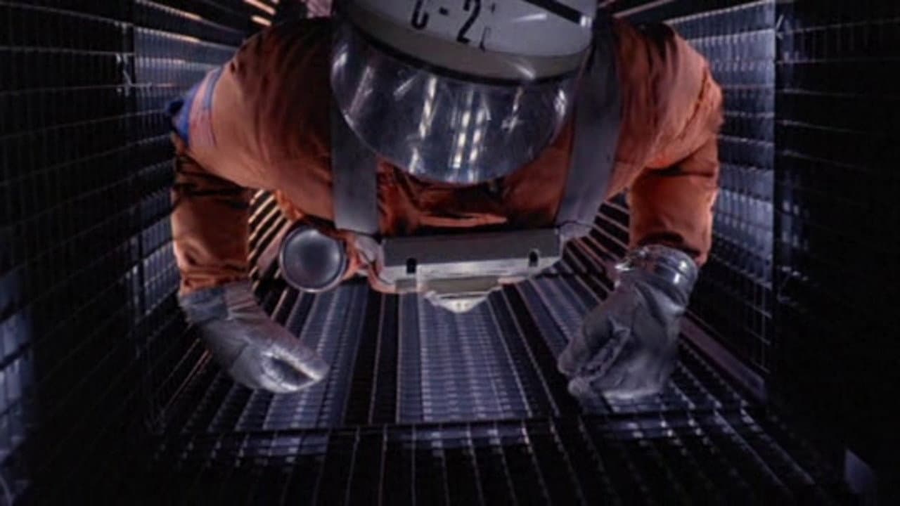 1997: il principio dell'arca di Noè - immagine