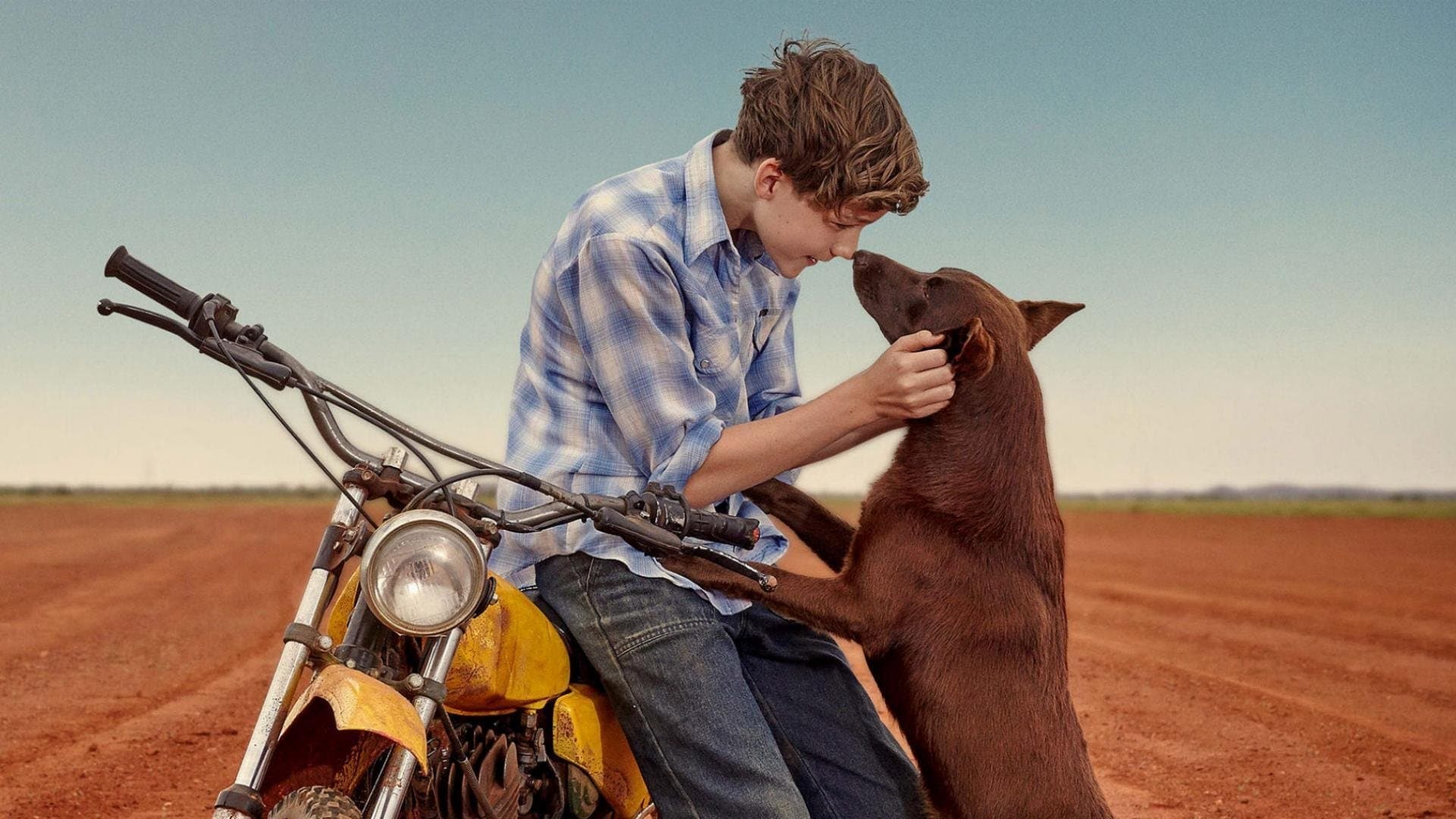 Red Dog: L'inizio - immagine