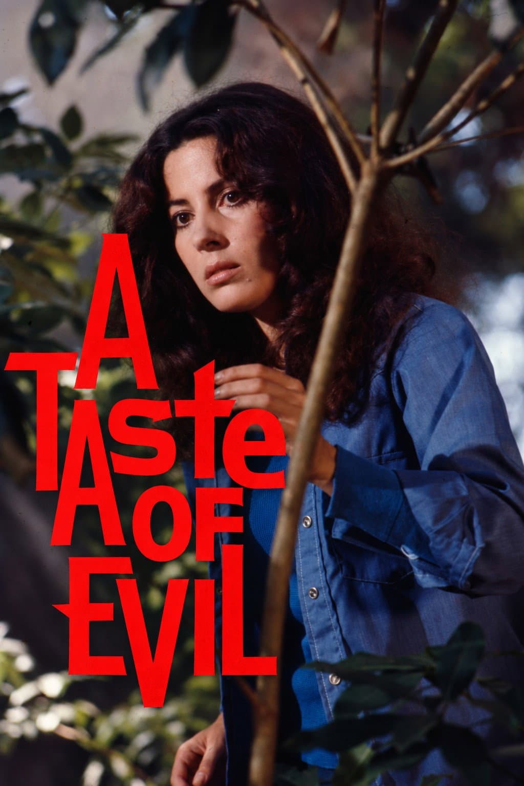 Poster di A Taste of Evil
