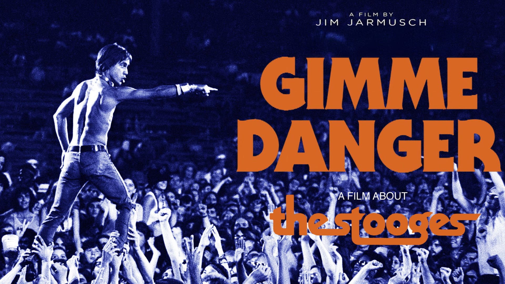 Gimme Danger - immagine