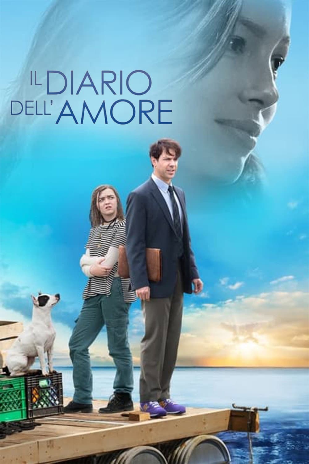 Poster di Il diario dell'amore