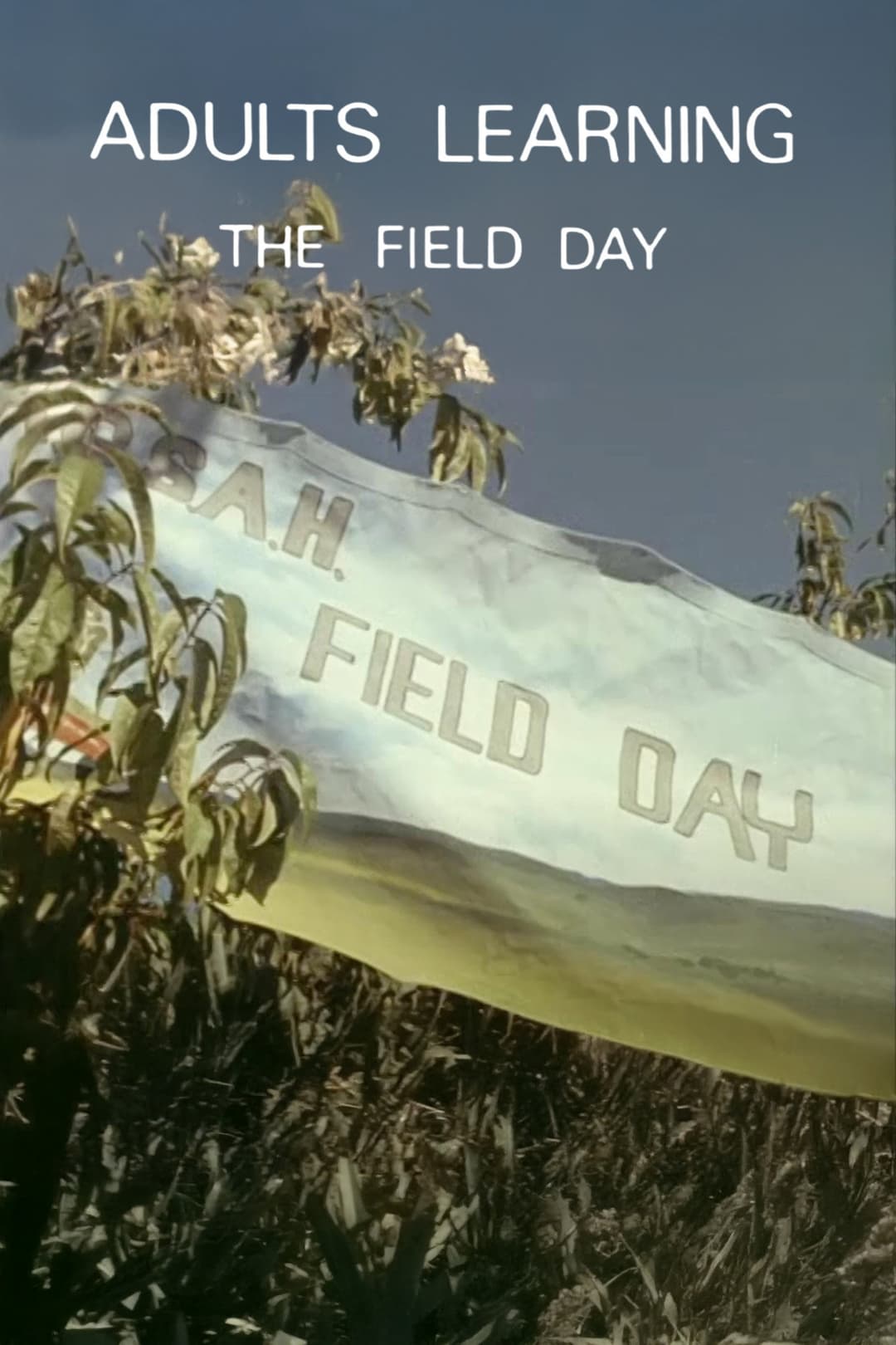 Poster di Adults Learning: The Field Day