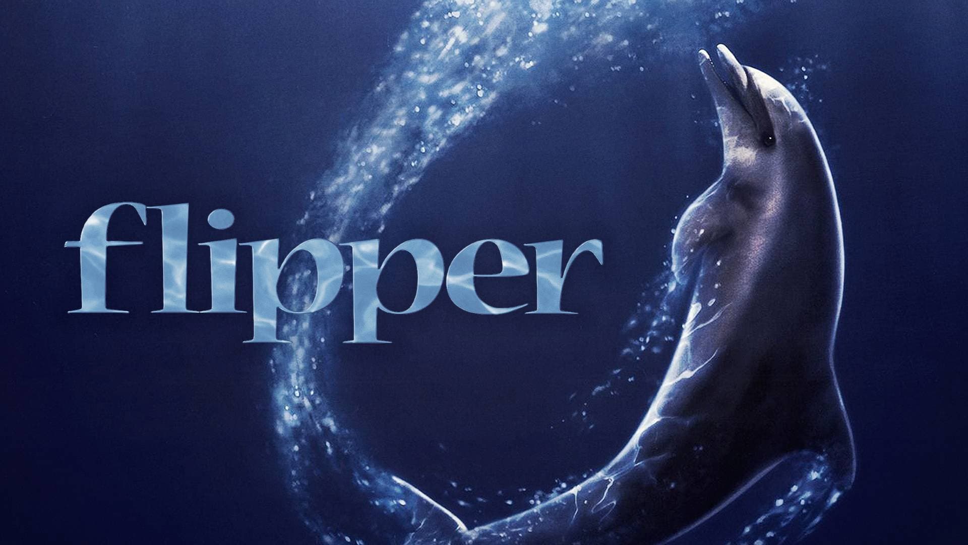 Flipper - immagine