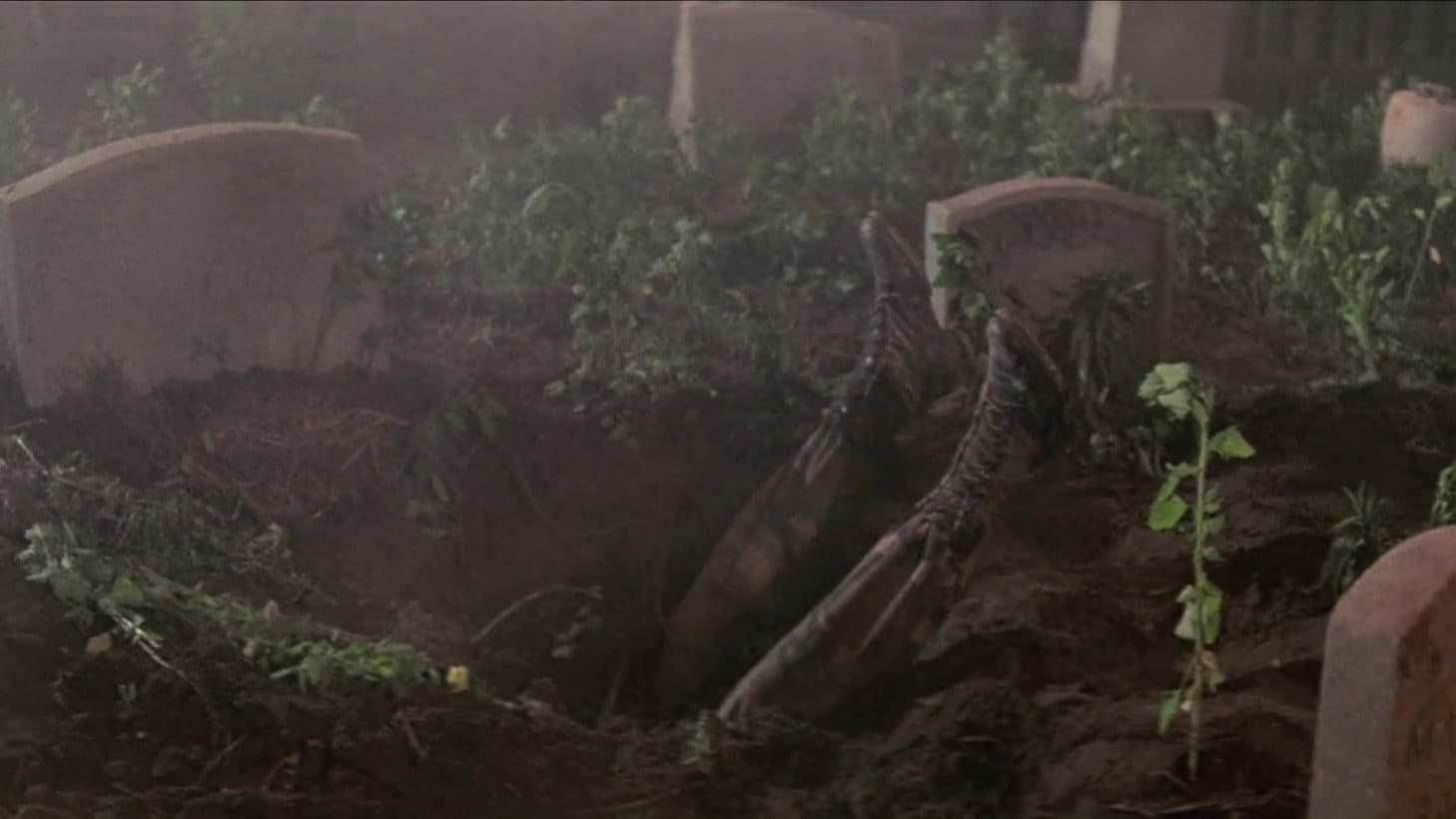 King Kong 2 - immagine