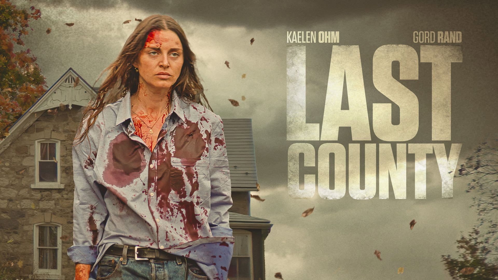 Last County - immagine