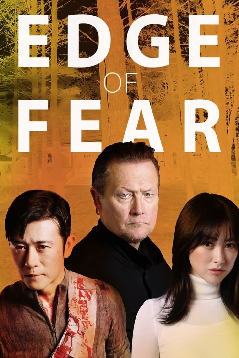 Poster di Edge of Fear