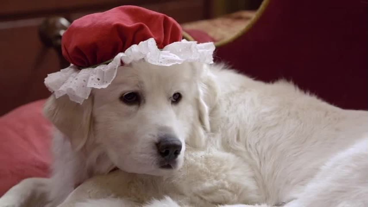 Zampa 2 - I cuccioli di Natale - immagine