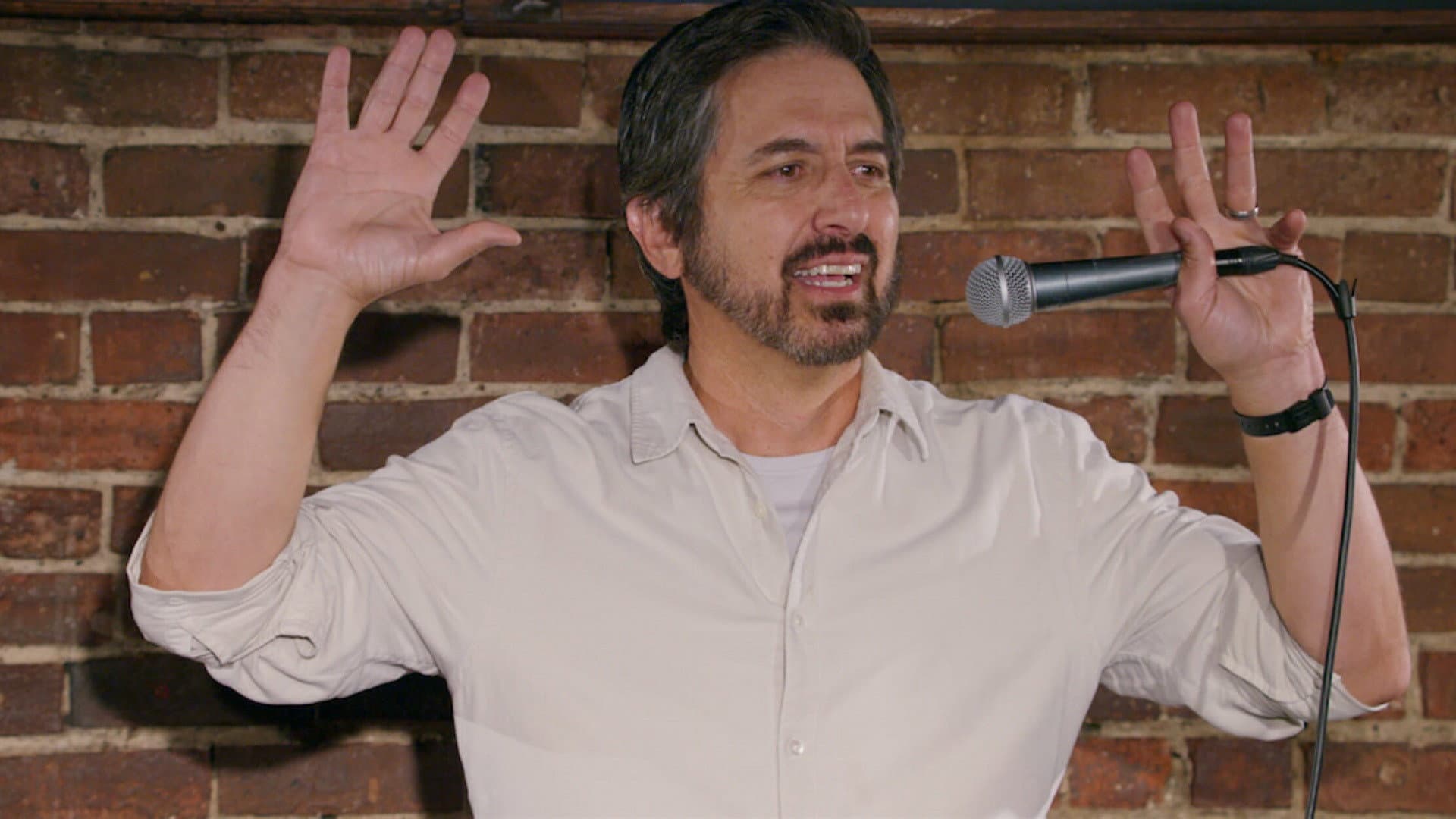 Ray Romano: Right Here, Around the Corner - immagine