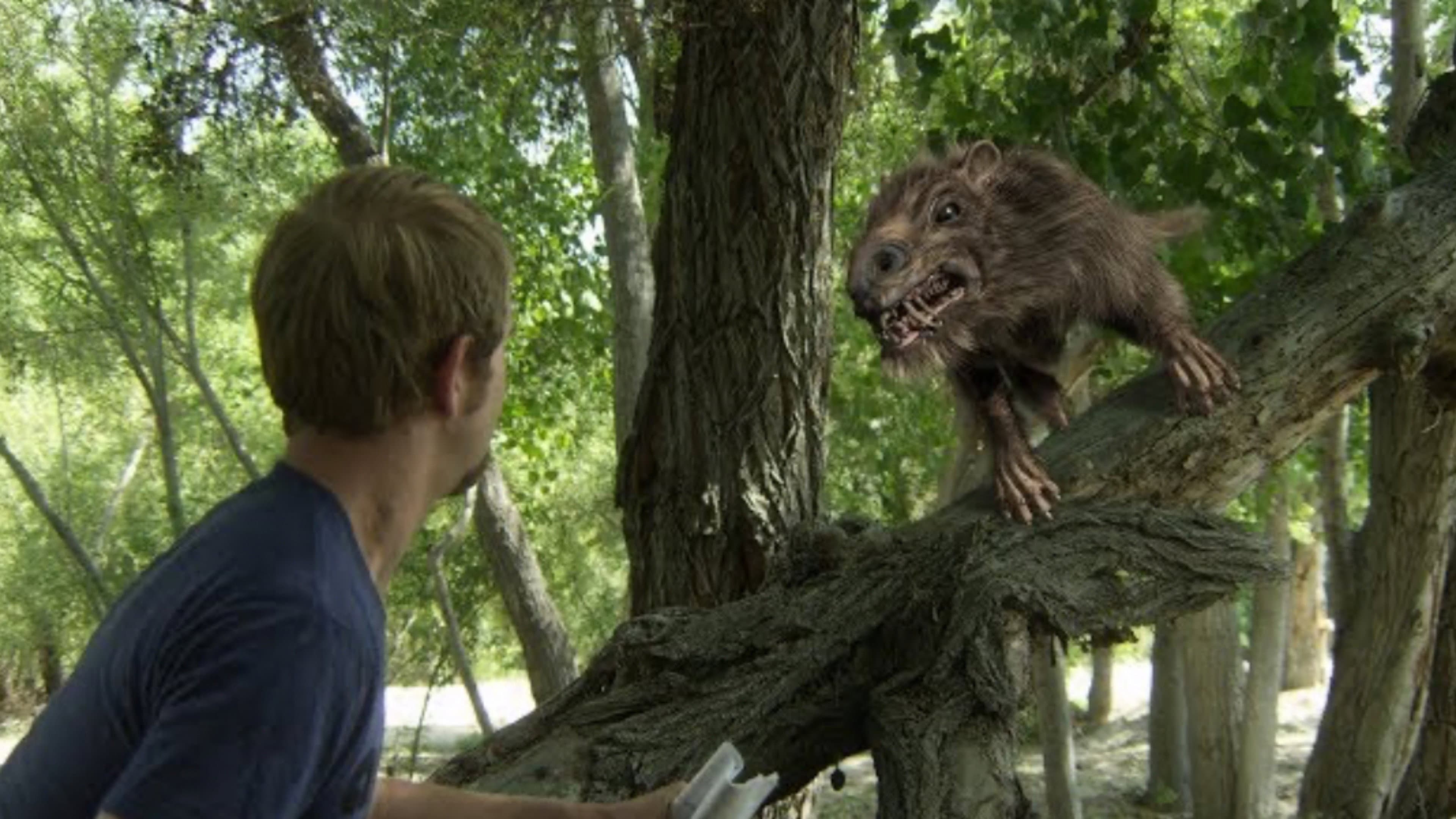 Return of the Killer Shrews - immagine