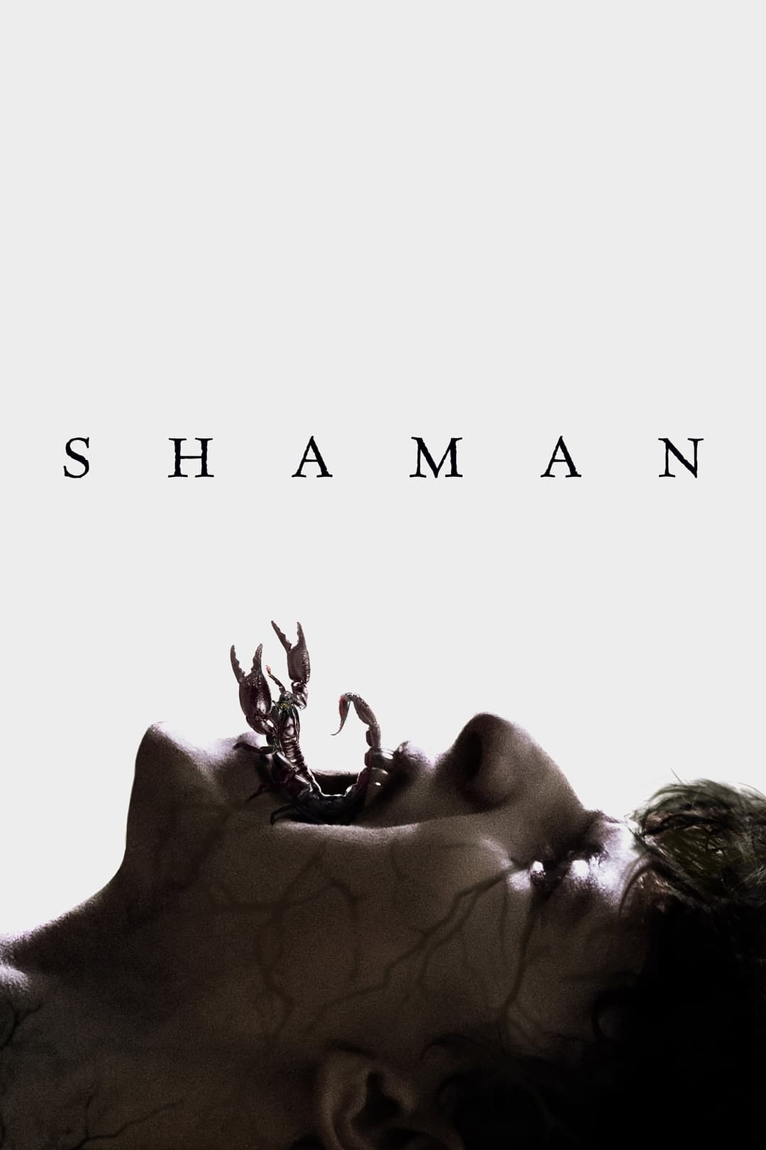 Poster di Shaman