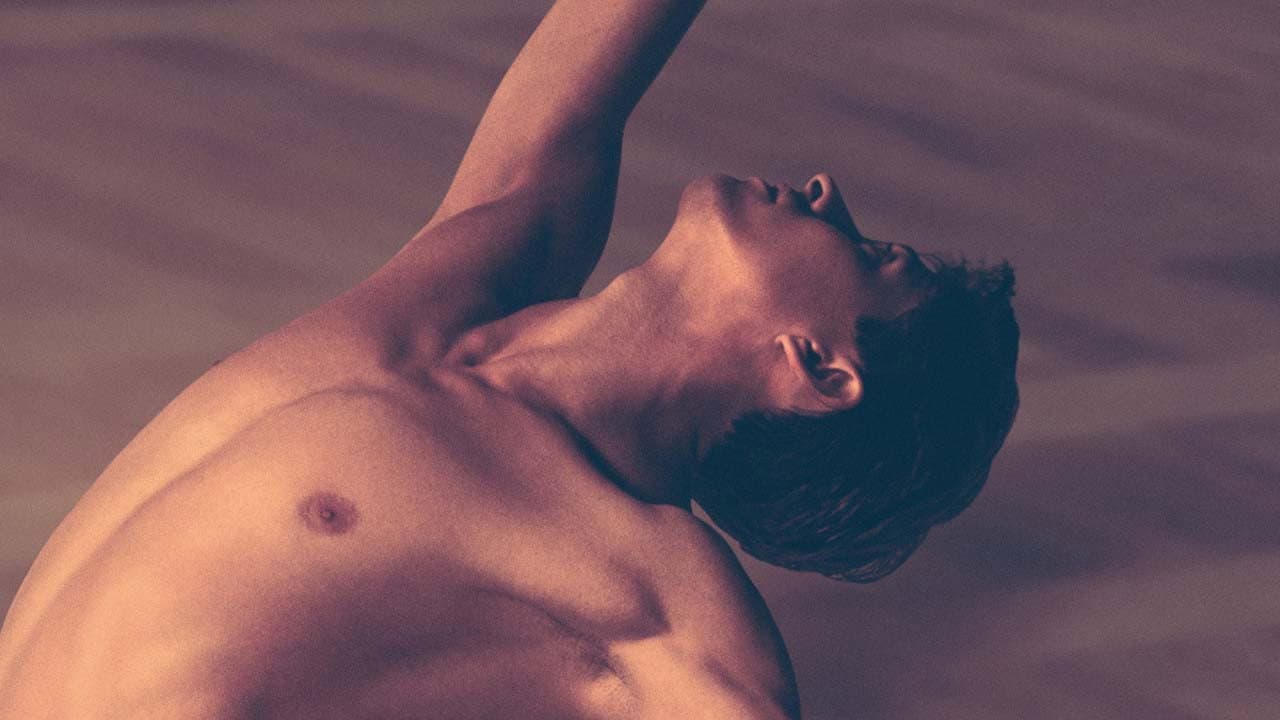 Nureyev - The White Crow - immagine