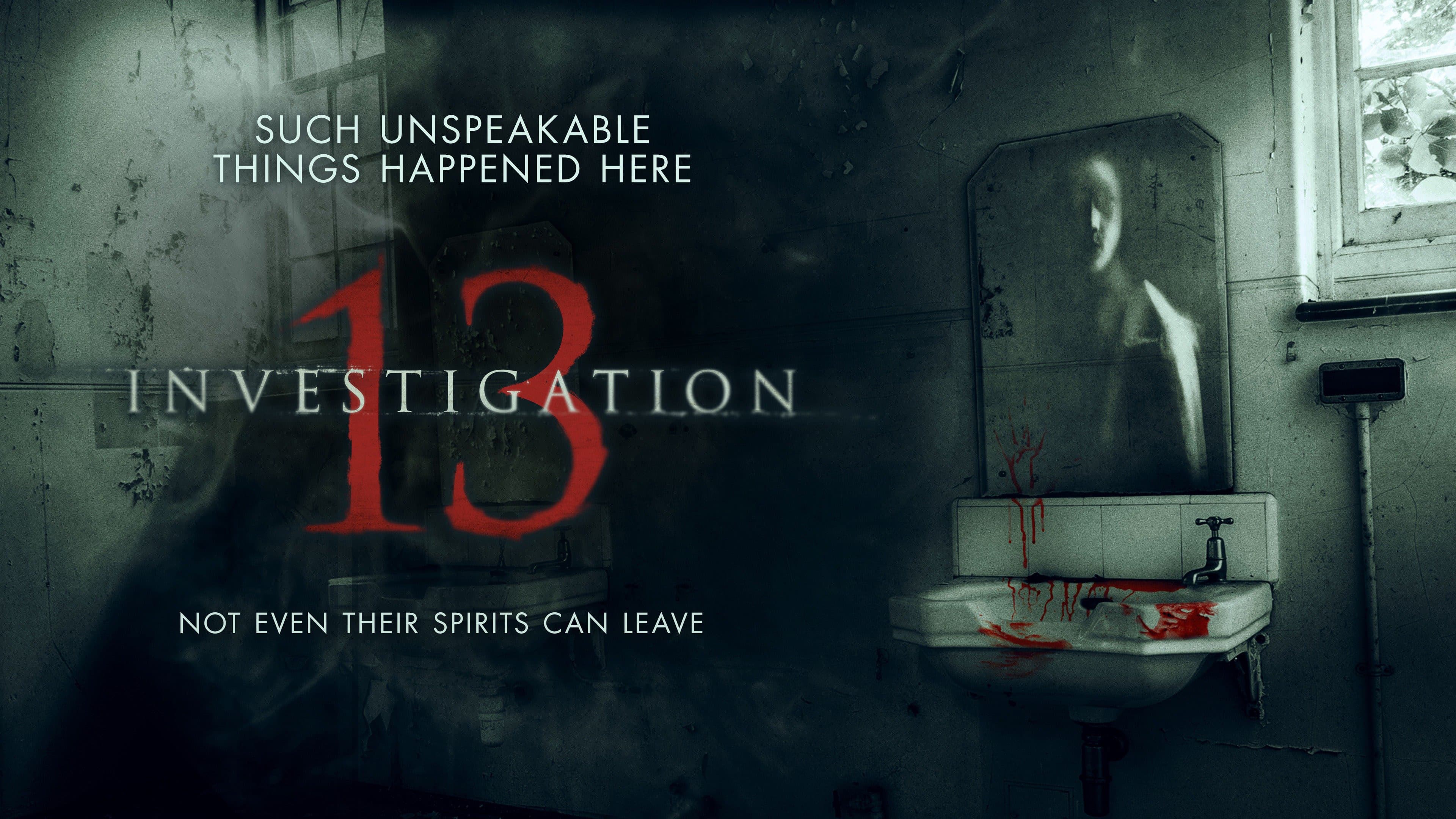 Investigation 13 - immagine