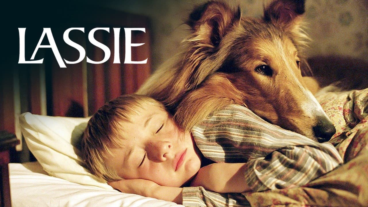 Lassie - immagine