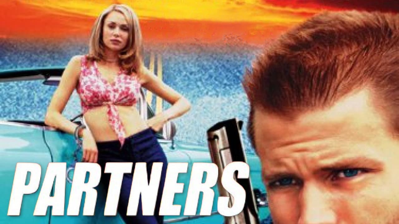 Partners - immagine