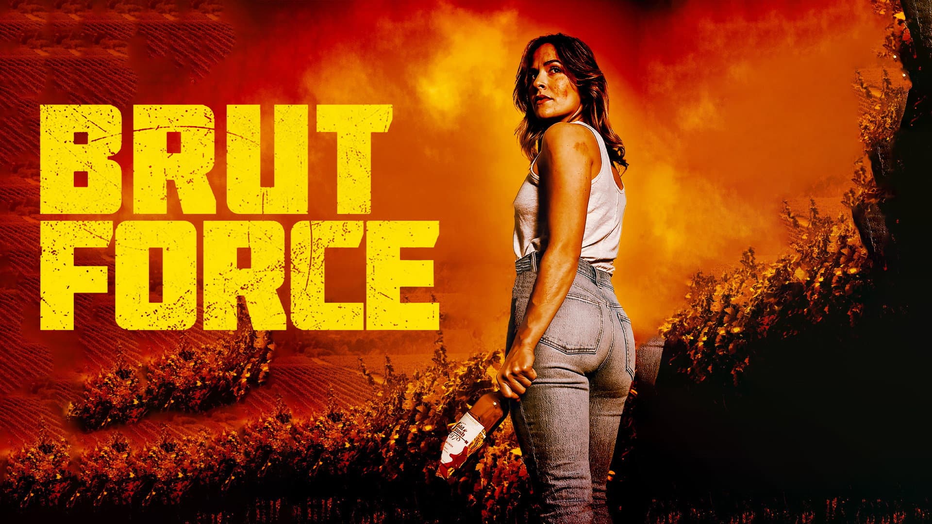 Brut Force - immagine