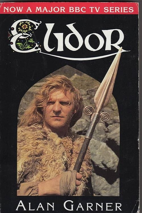 Poster di Elidor
