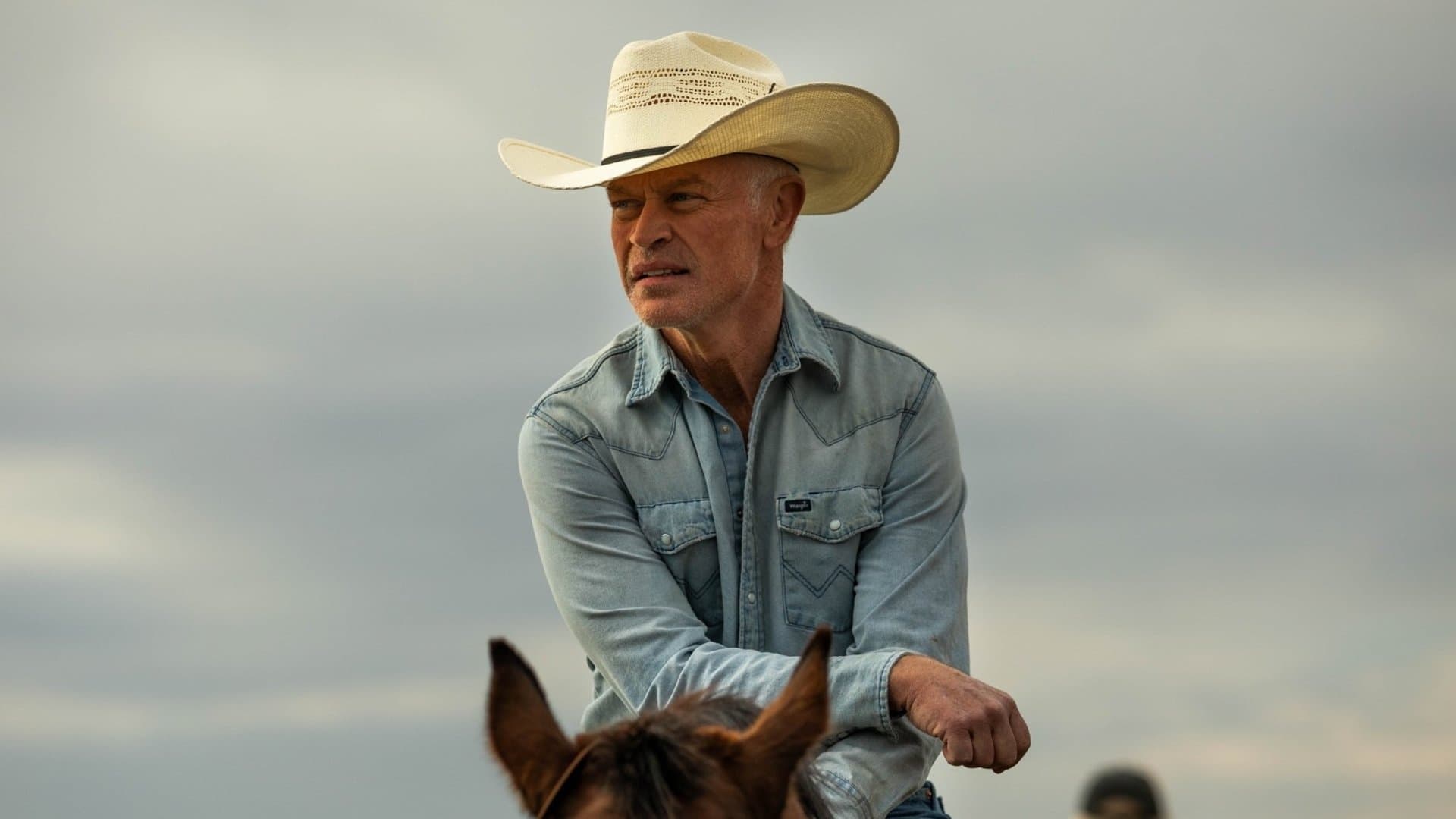 The Last Rodeo - immagine