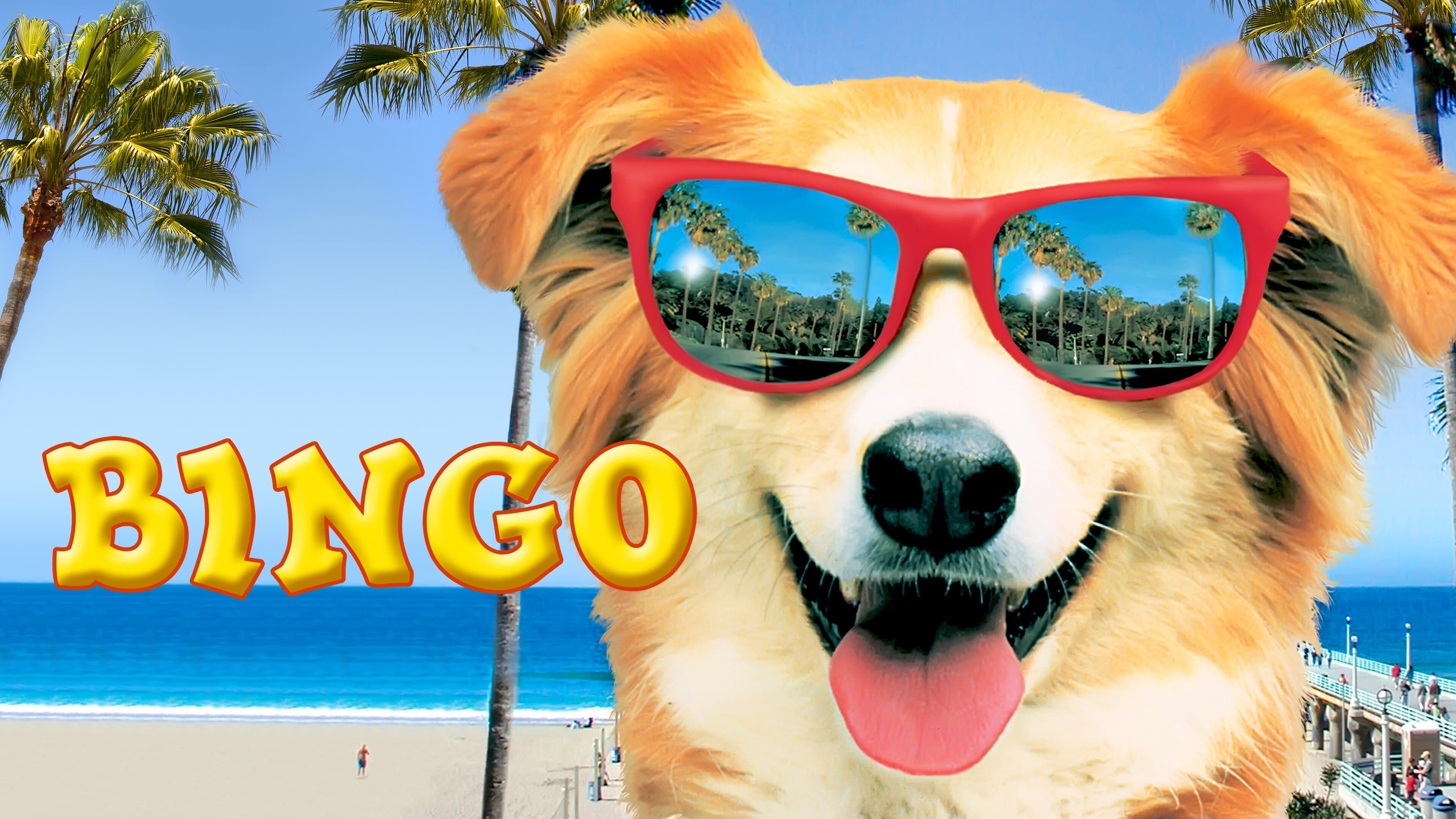 Bingo - Senti chi abbaia - immagine
